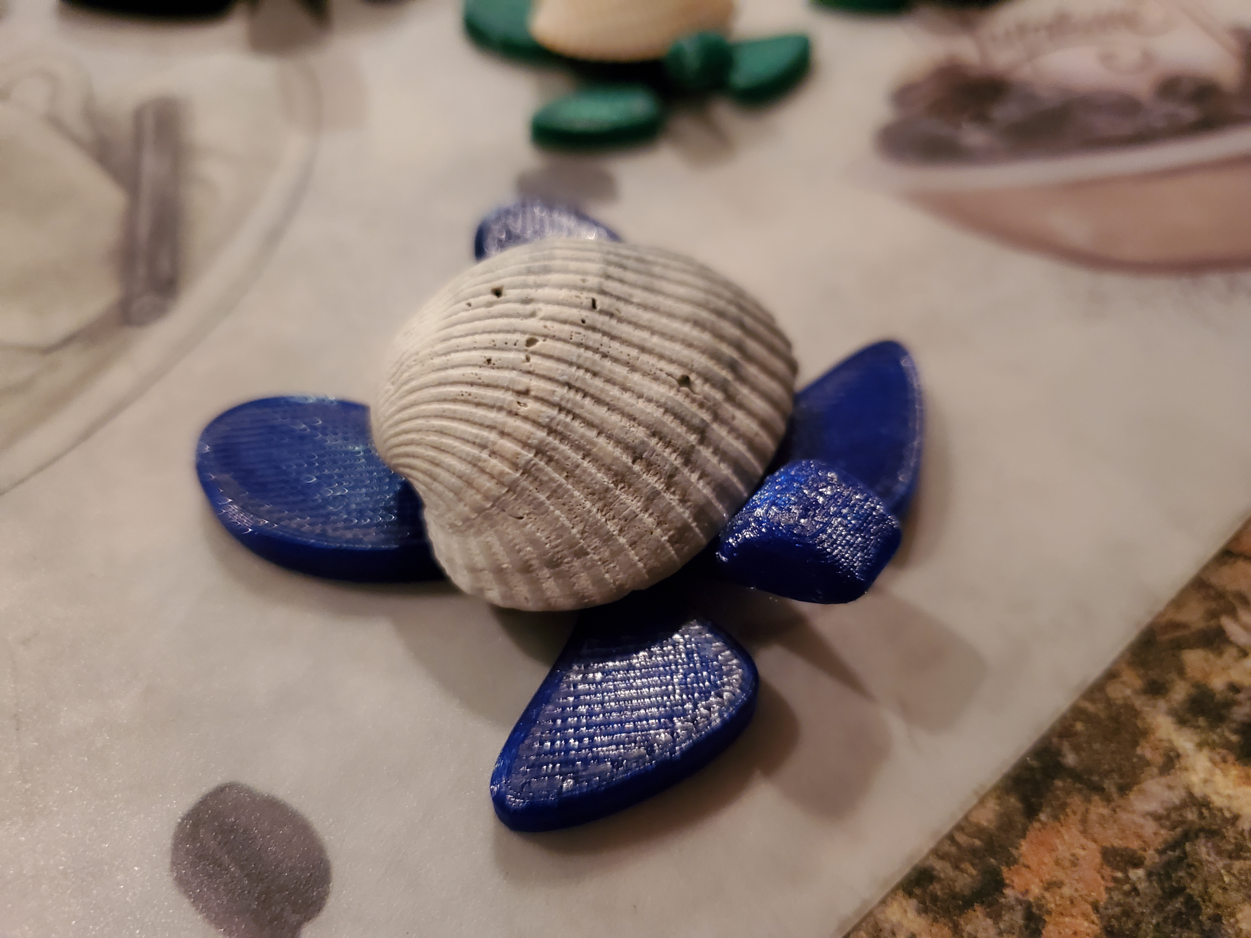 Sea Turtles — thumbnail 2