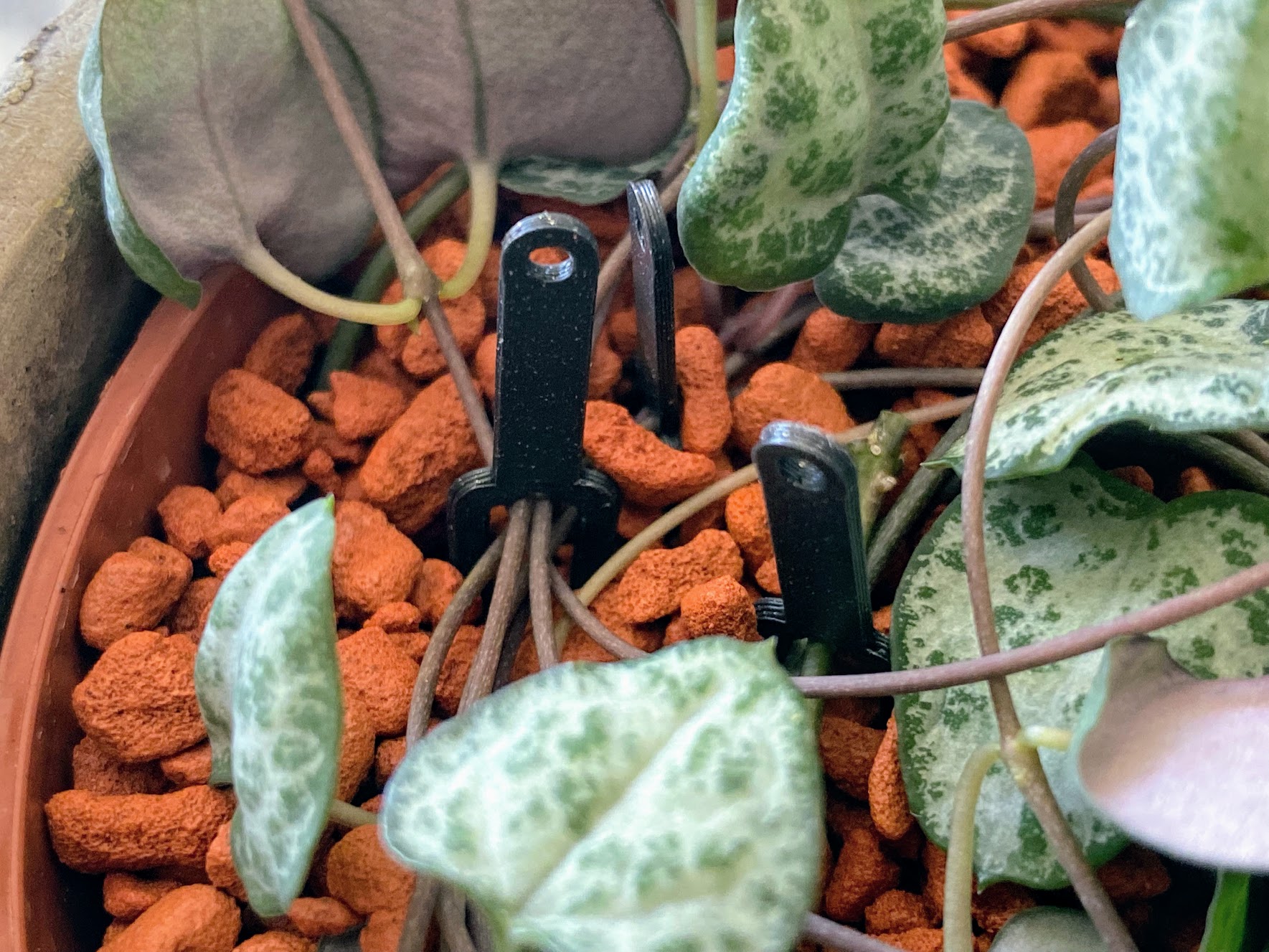 Plant Pin Pro