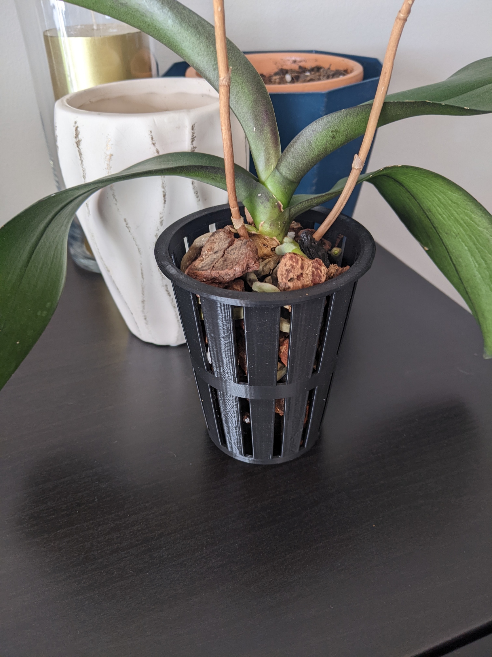 Orchid Basket