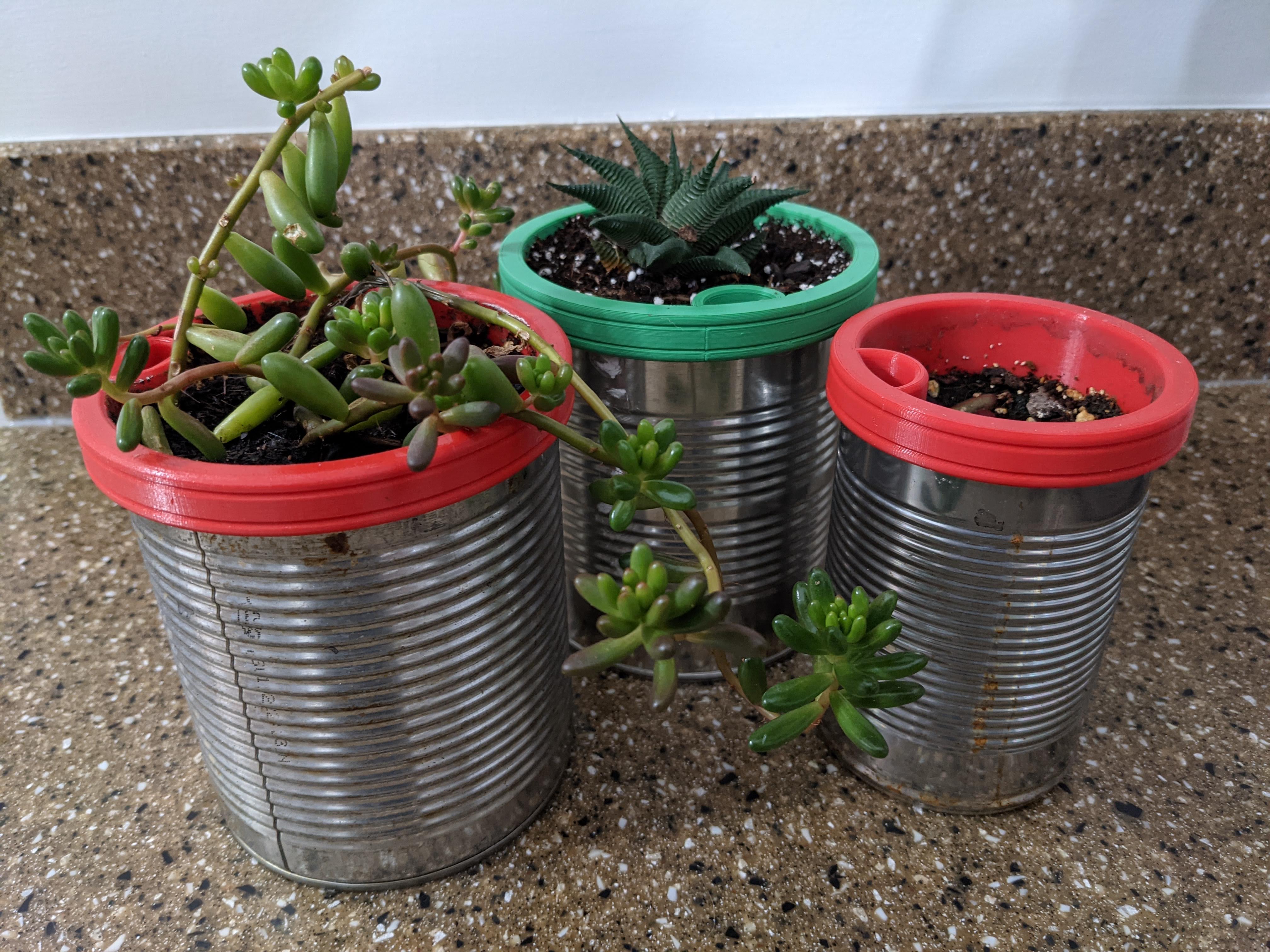 Self-Watering Upcycled Tin Can Planter