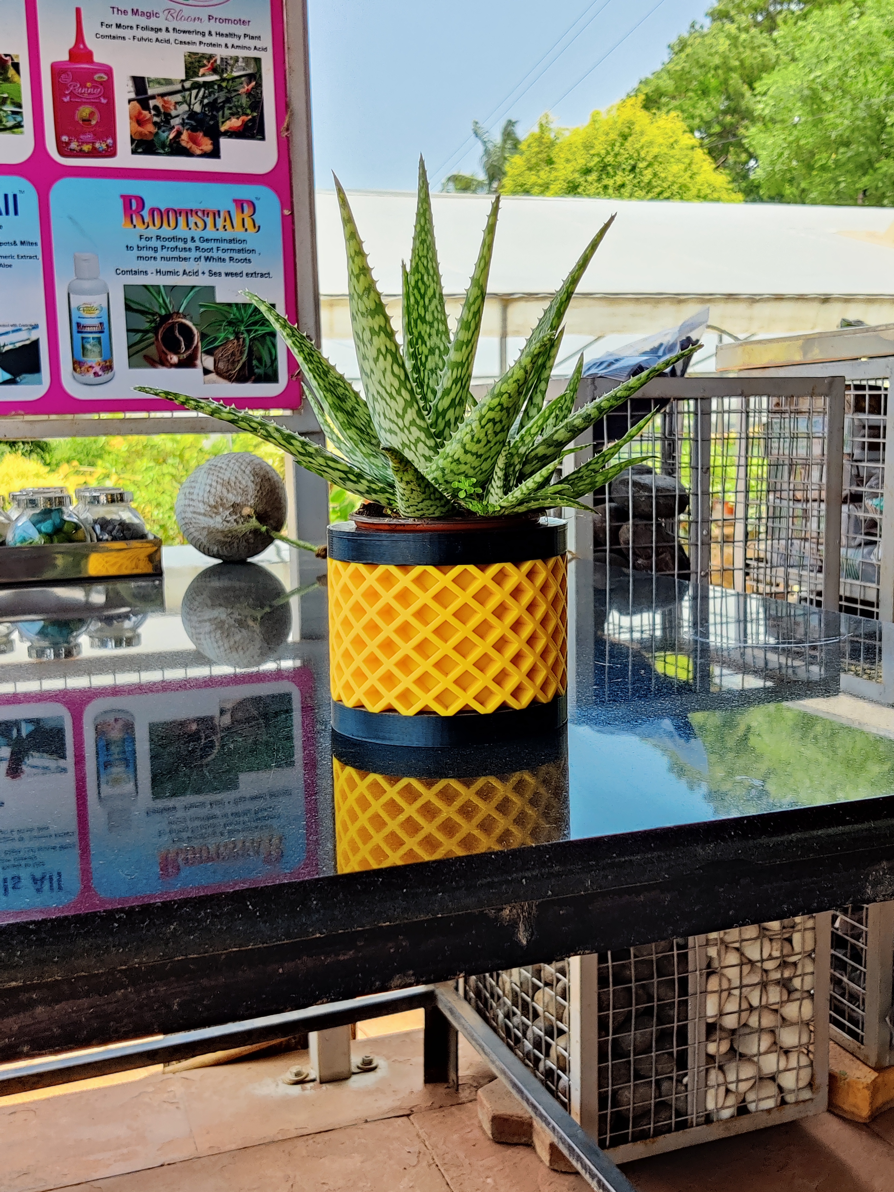 Miniatura 3 do modelo 3D Succulent Planter