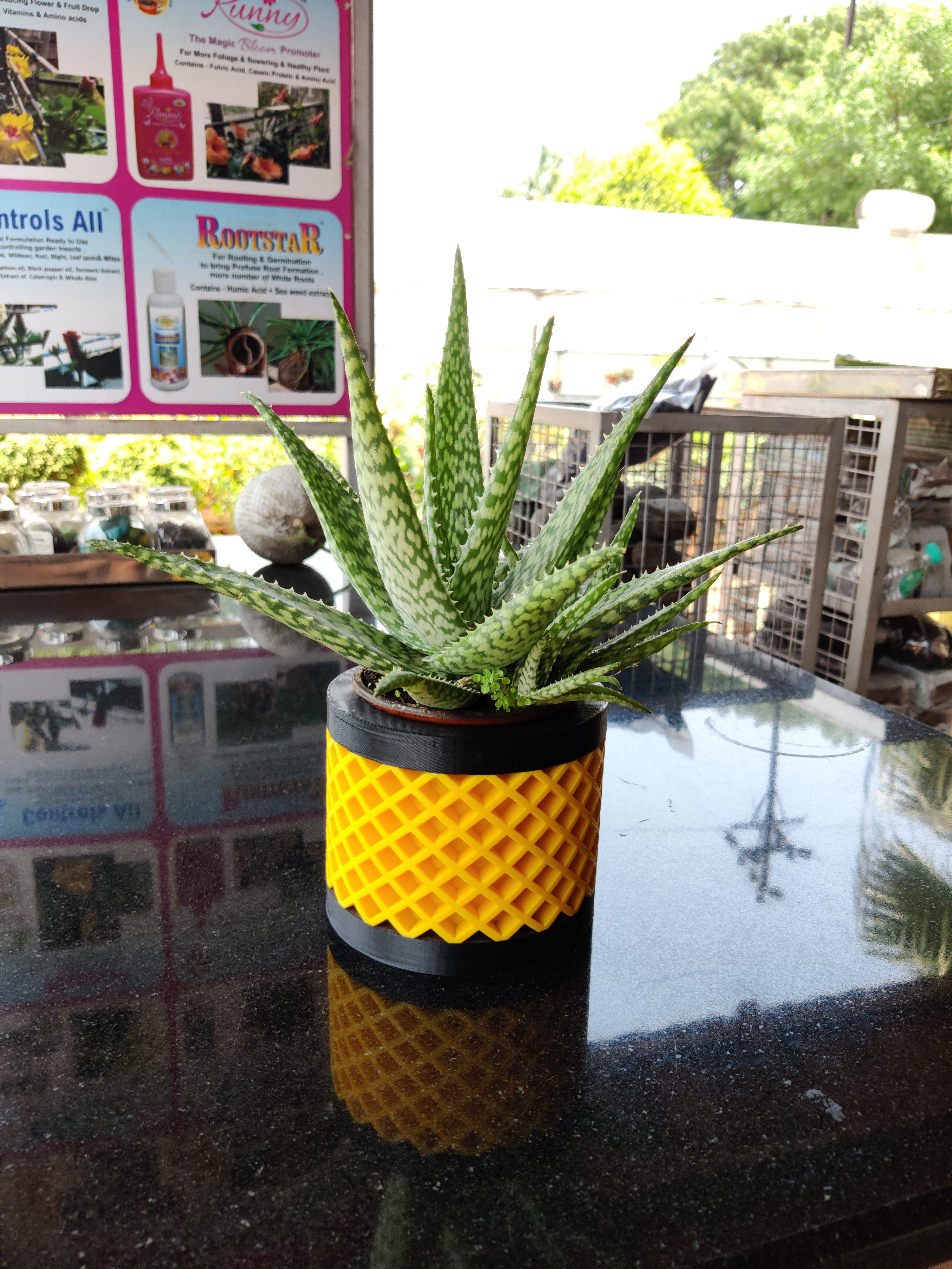 Miniatura 5 do modelo 3D Succulent Planter