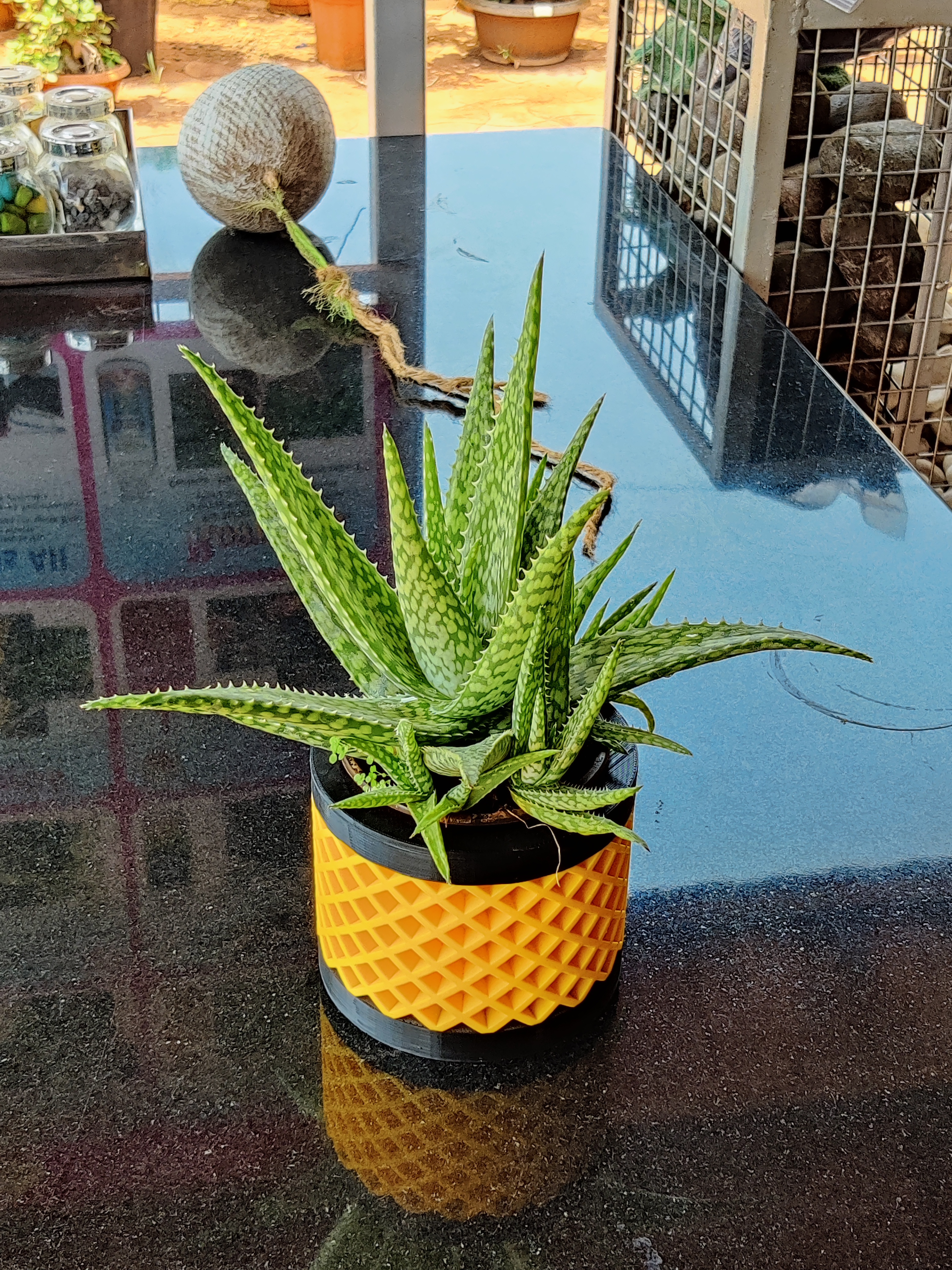Miniatura 2 do modelo 3D Succulent Planter
