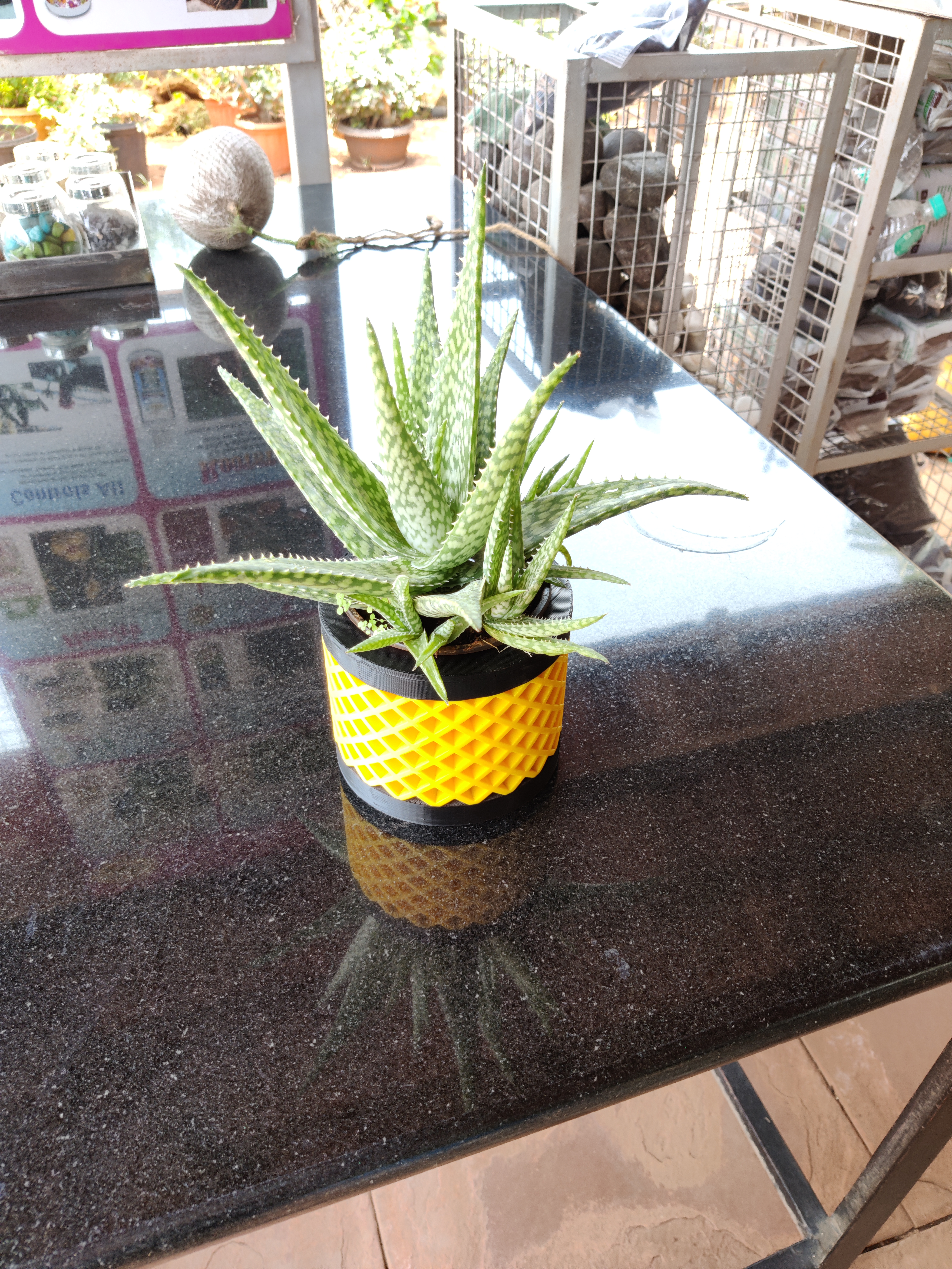 Miniatura 6 do modelo 3D Succulent Planter