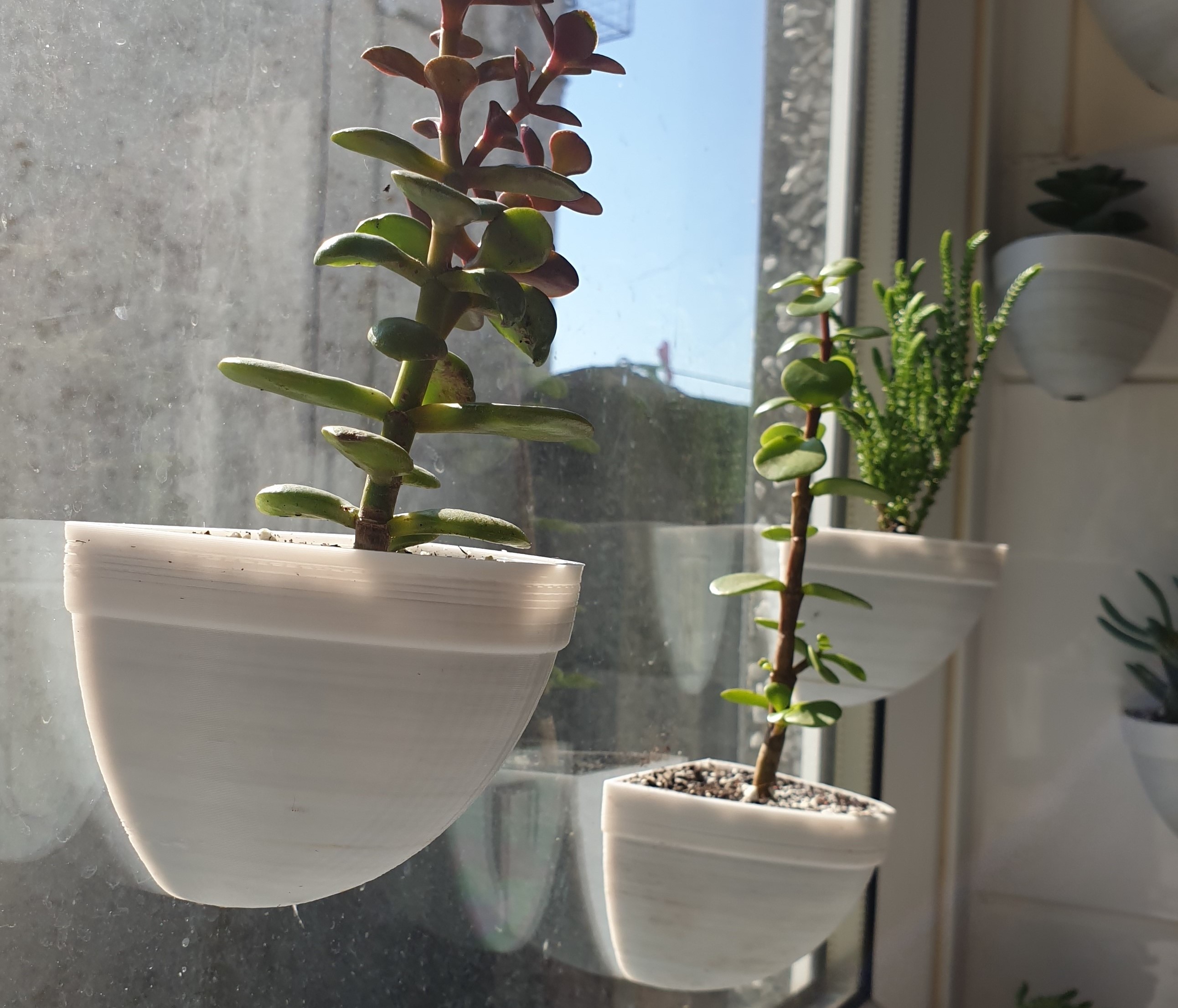 Slot Pot