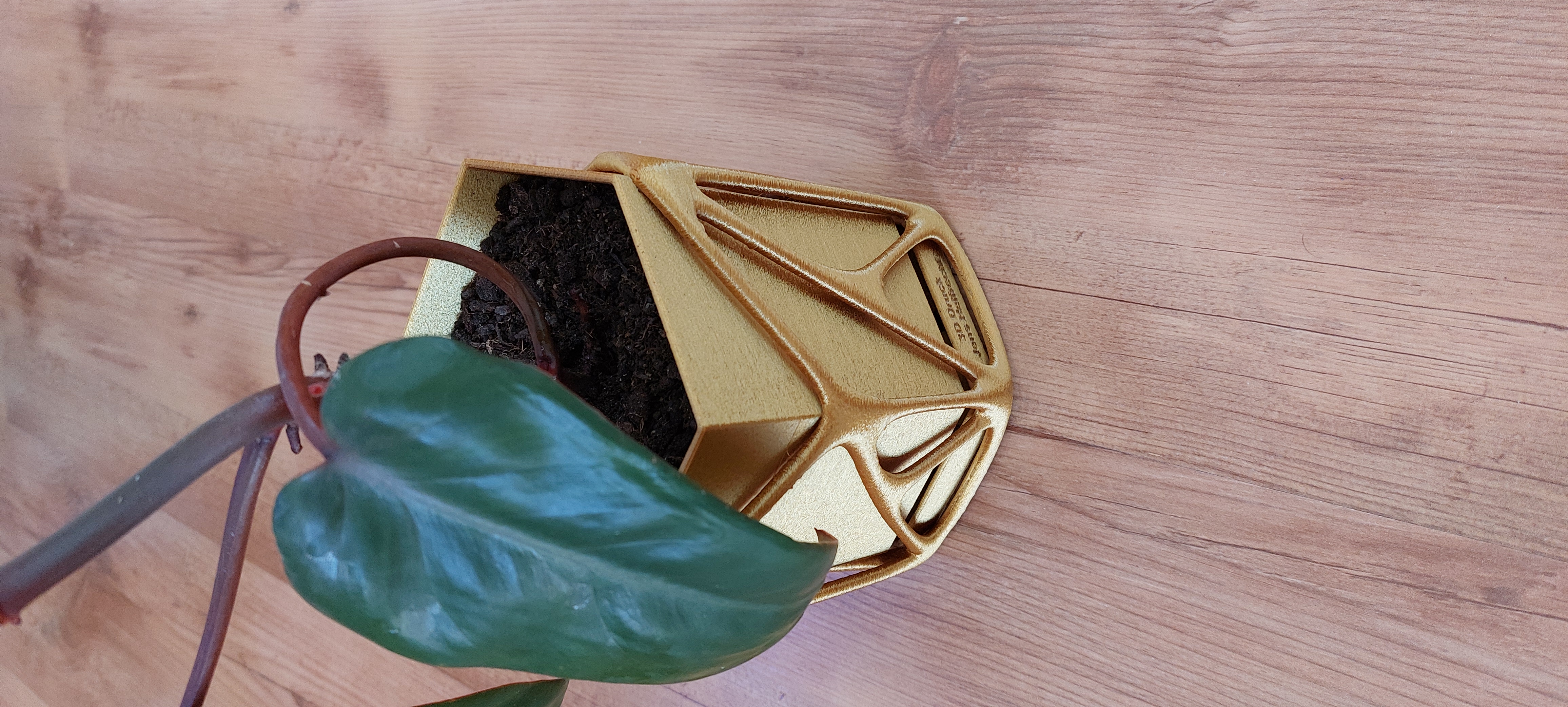 Organic Plant Pot