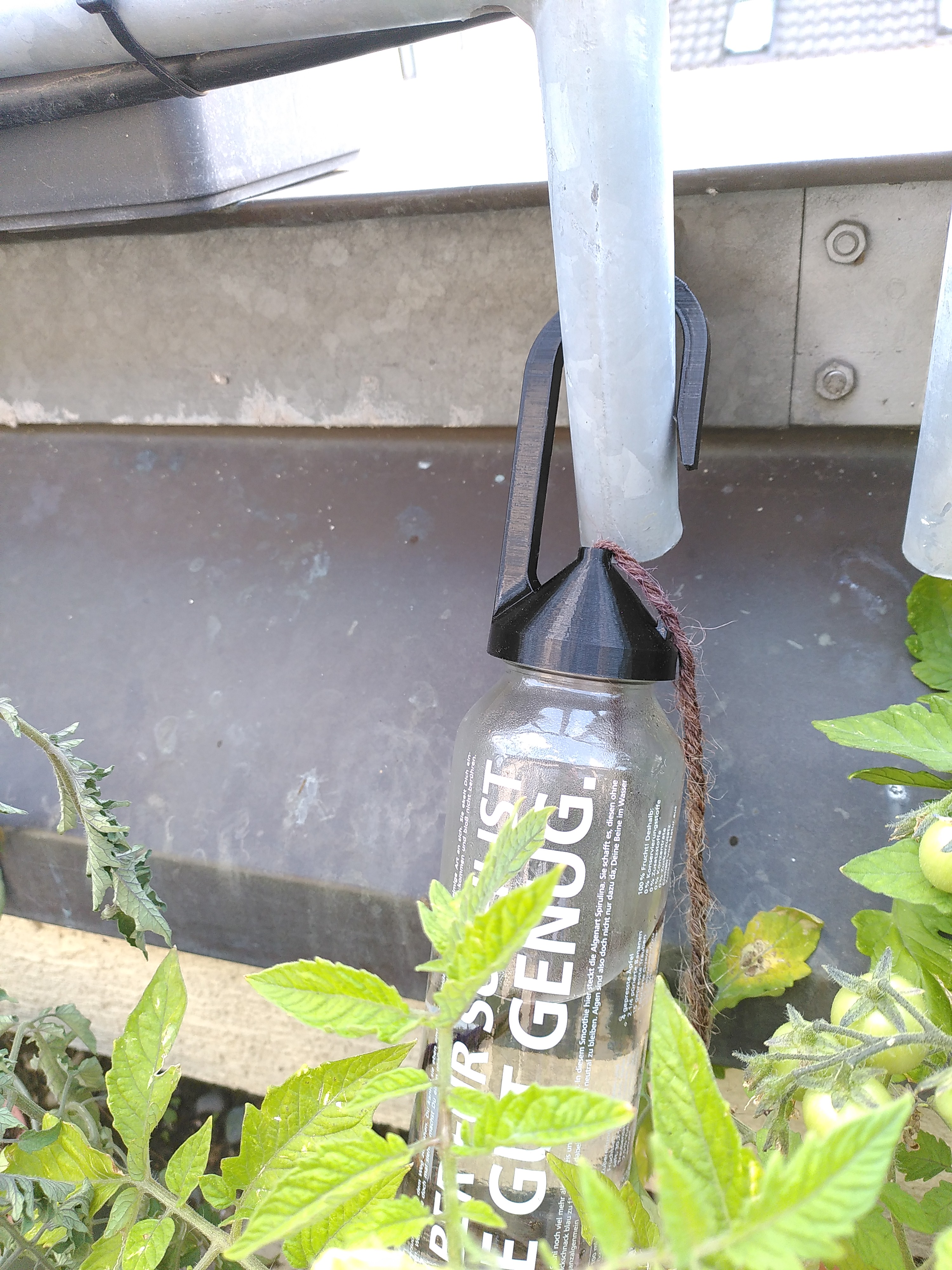 Watering Plants with Truefruits Bottles and a string