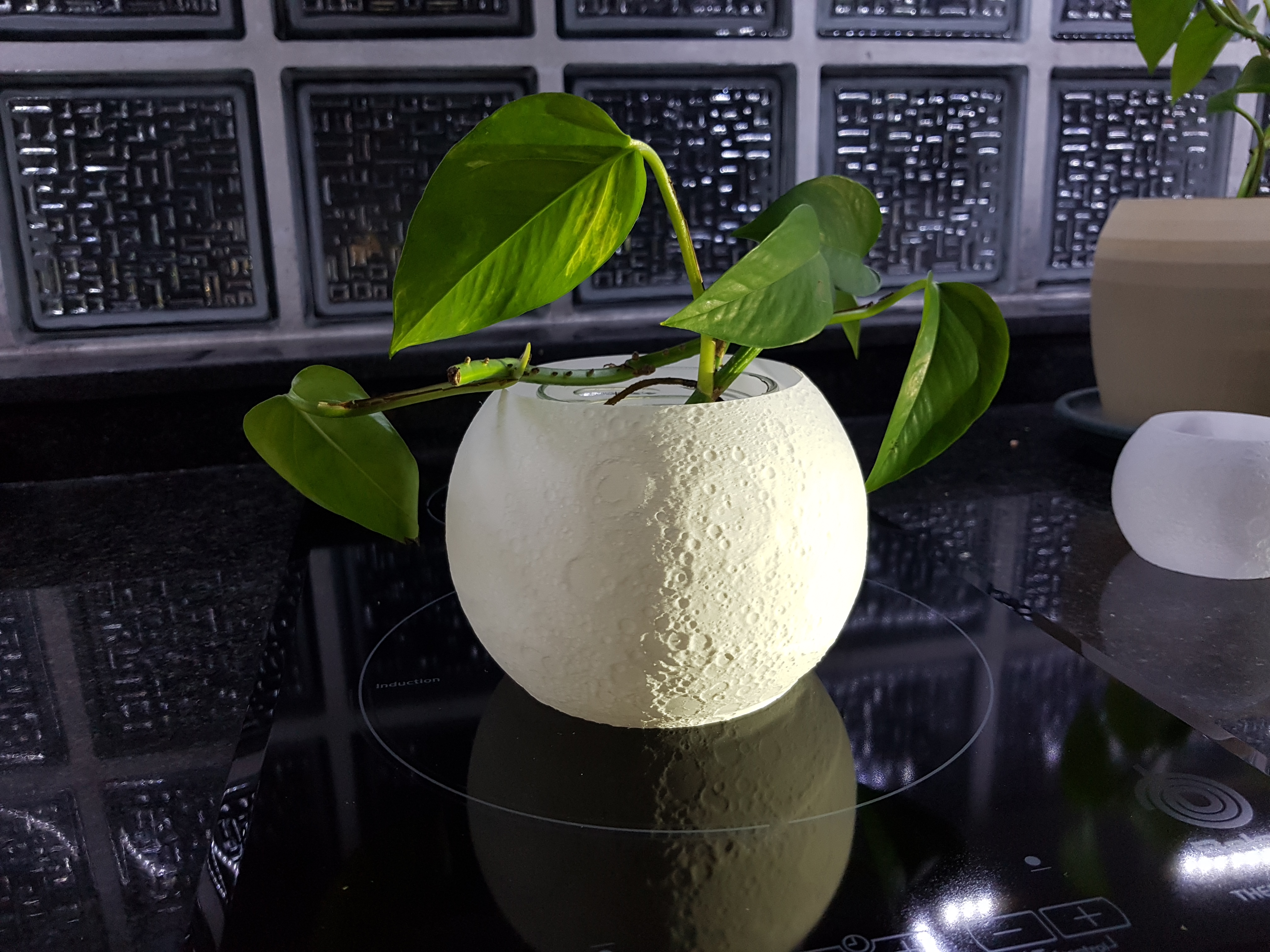 Moon Pot - Maceta Luna