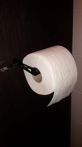 Toilet paper holder