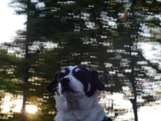 Custom Bokeh for Helios lens