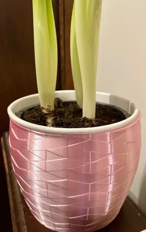 Plant Pot