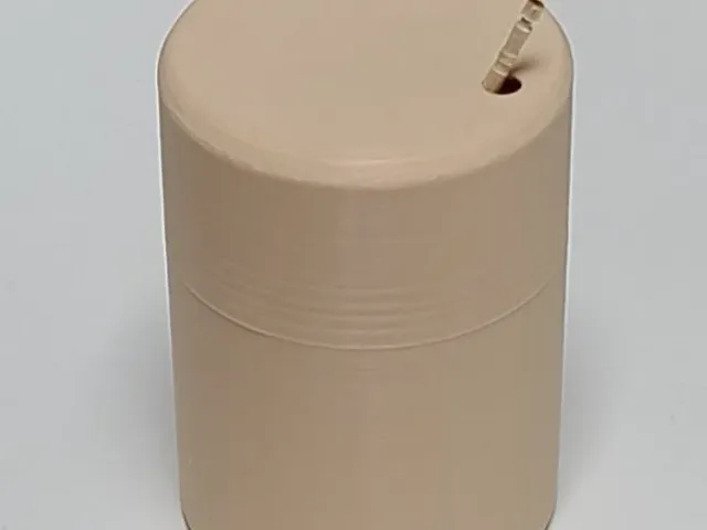 Simple toothpick case