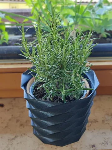 Twisted plant pot