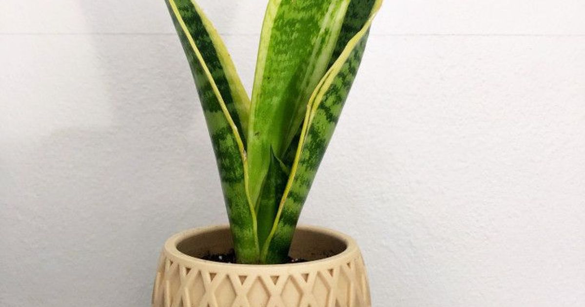 Geometric Planter by 3DbyShaw | Download free STL model | Printables.com