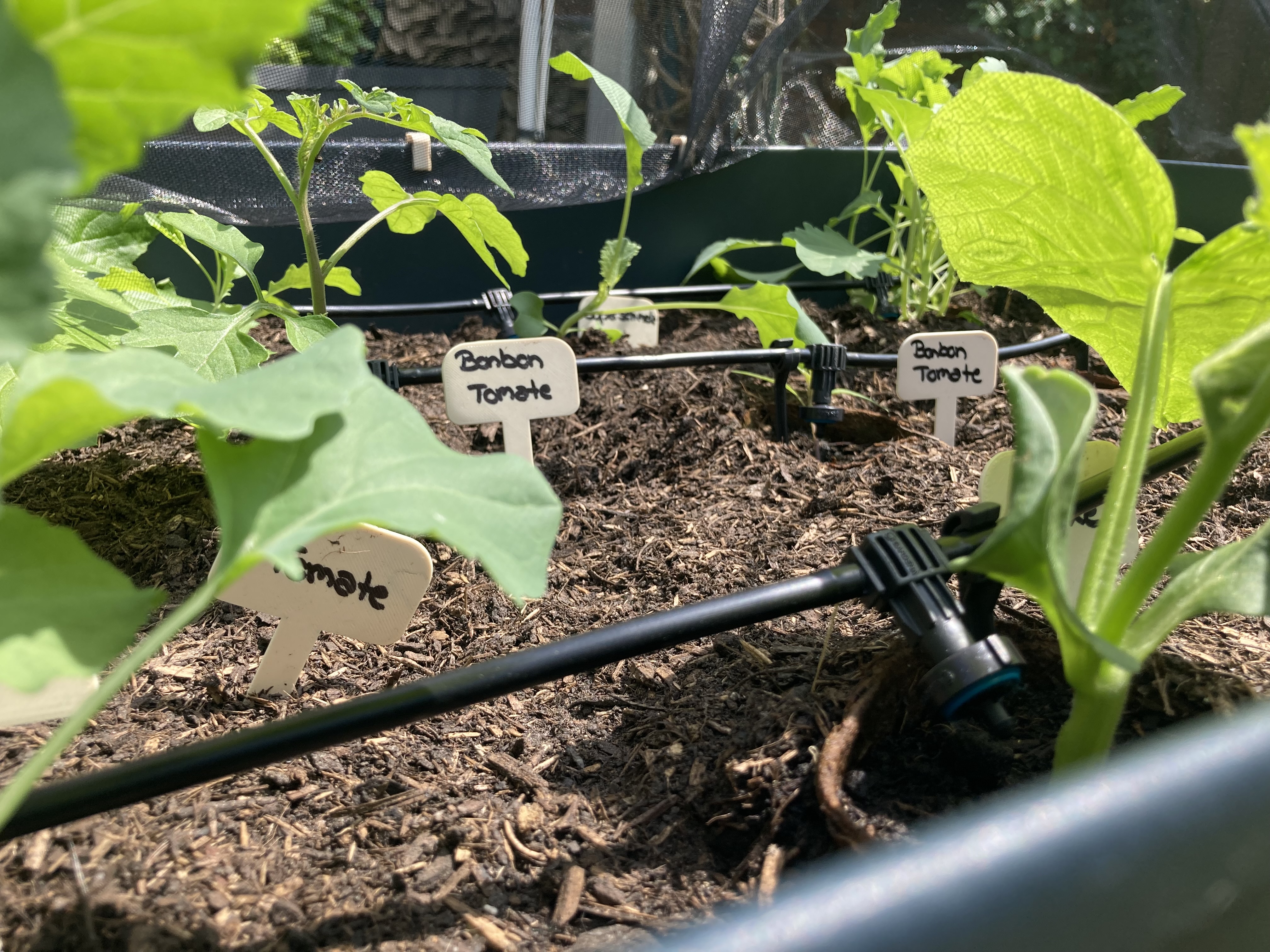 Planting tag / Pflanzschild