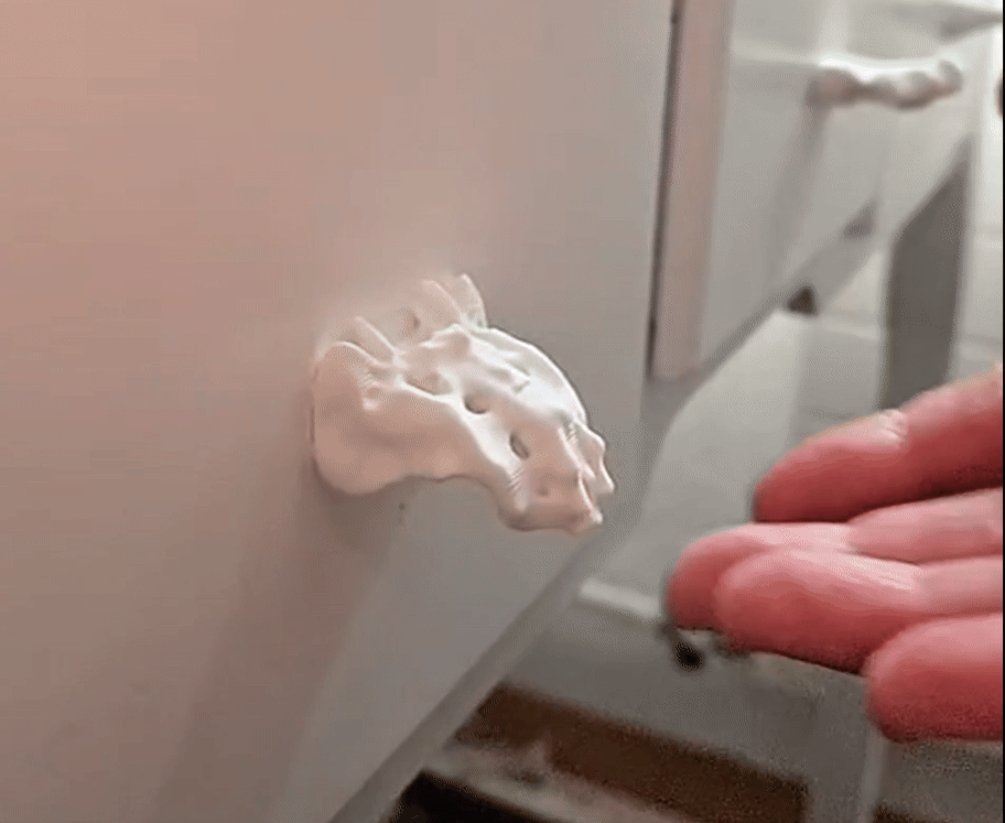 Sacrum Bone Drawer Knob