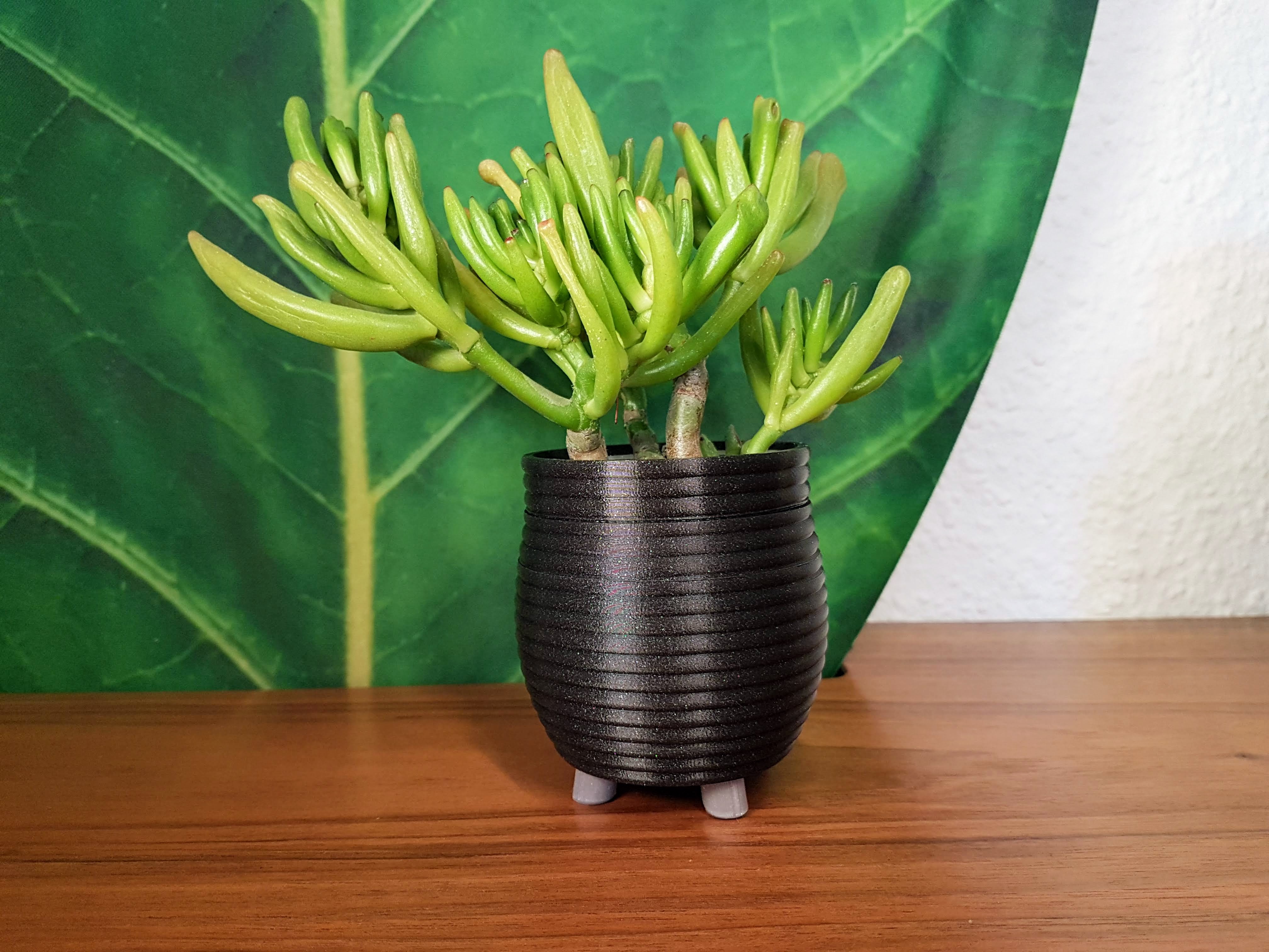 Tiny Legged Plant Pot