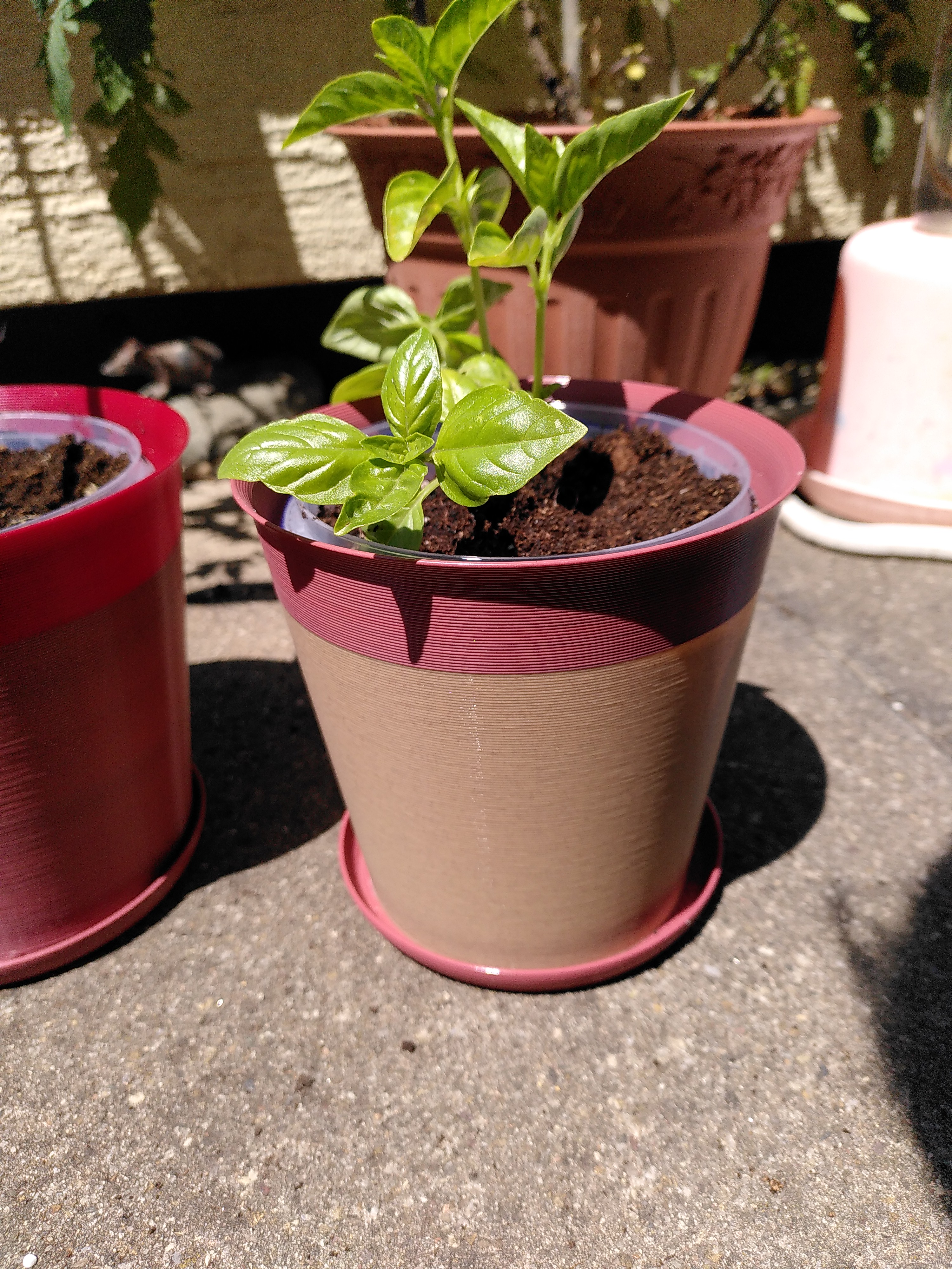 Berry and Tomato Packaging Upcycling in nice Planter