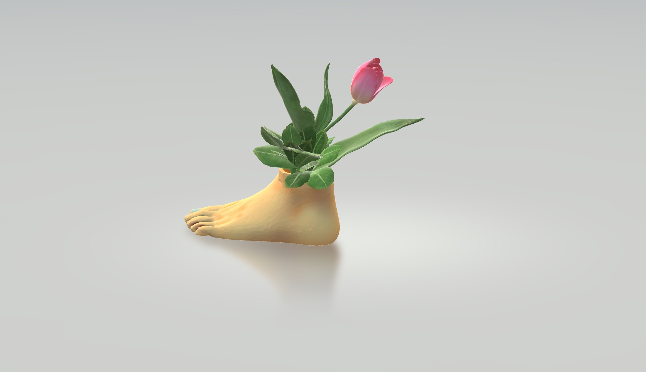 FOOT PLANT