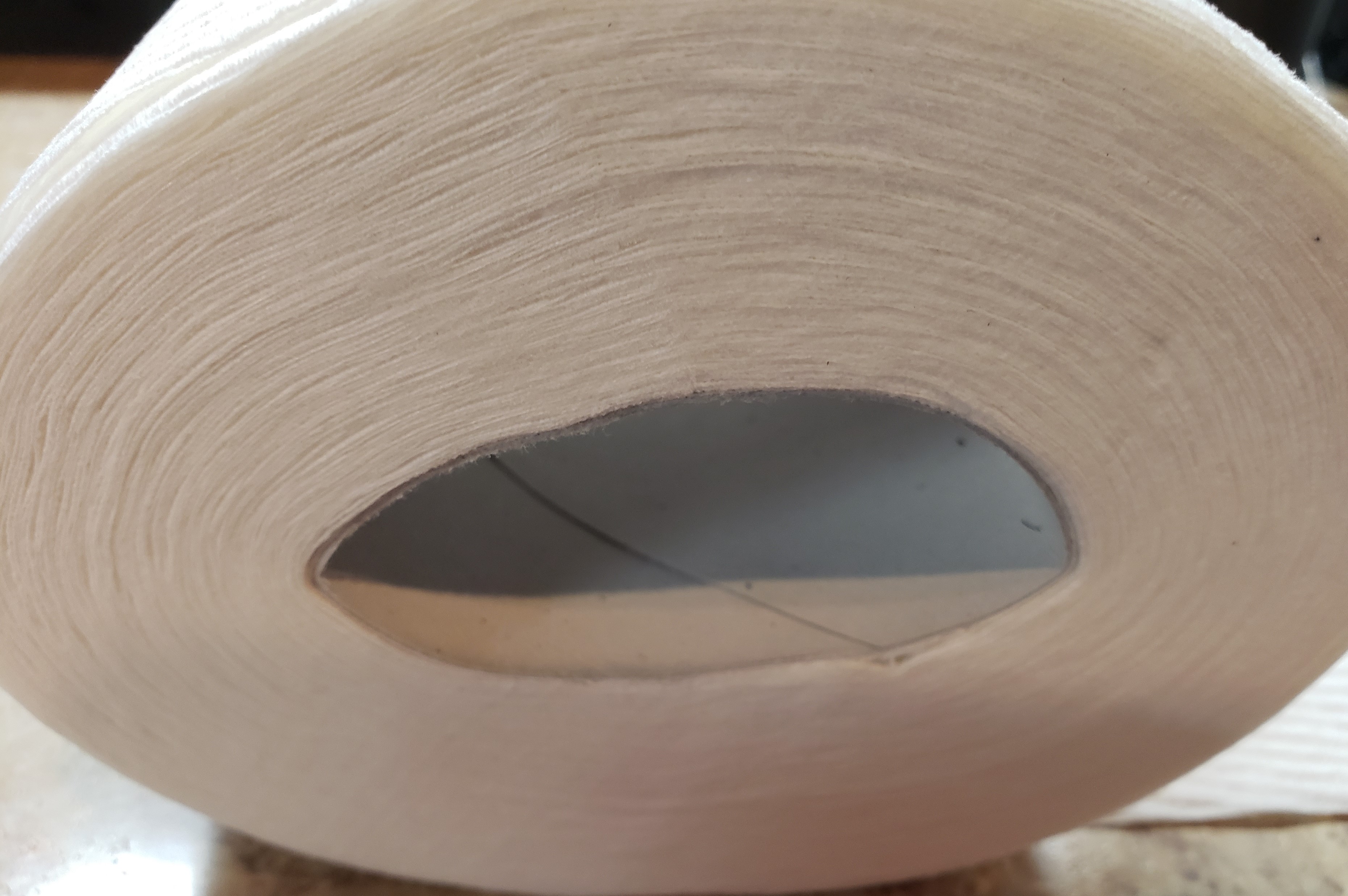 Toilet Paper Roll Rescue