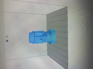 the moai face