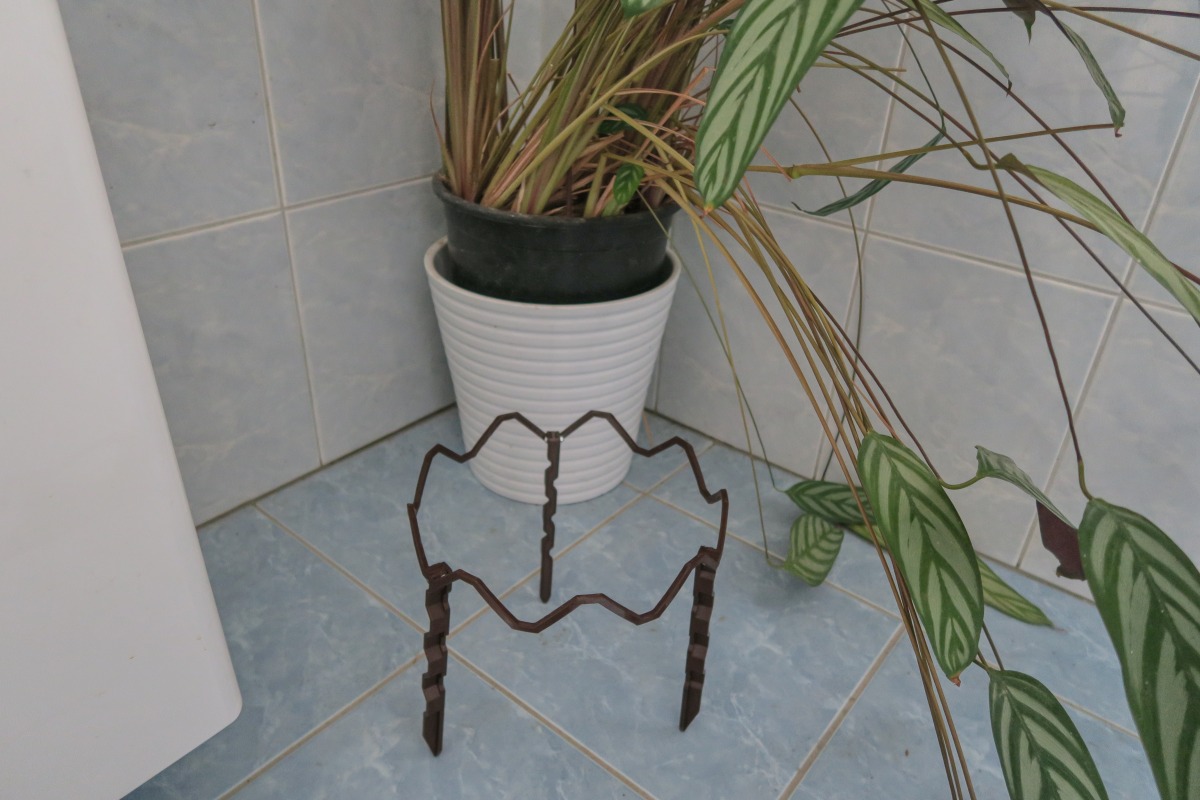 Podpora květin. Flower support.