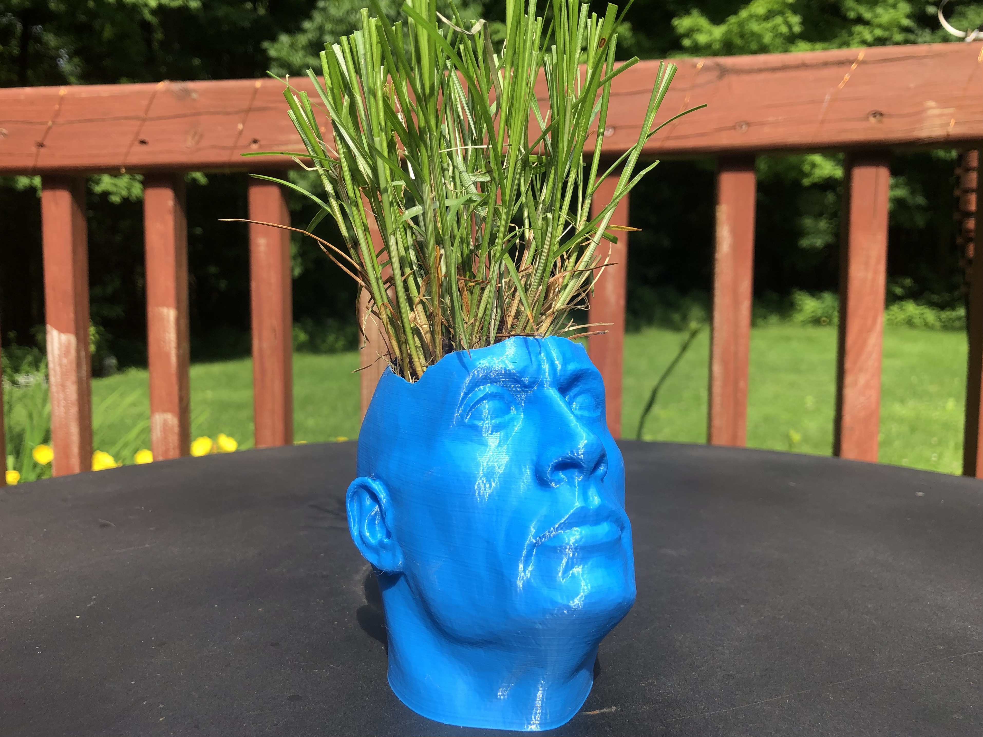 The Rock - Dwayne "The Pot" Johnson
