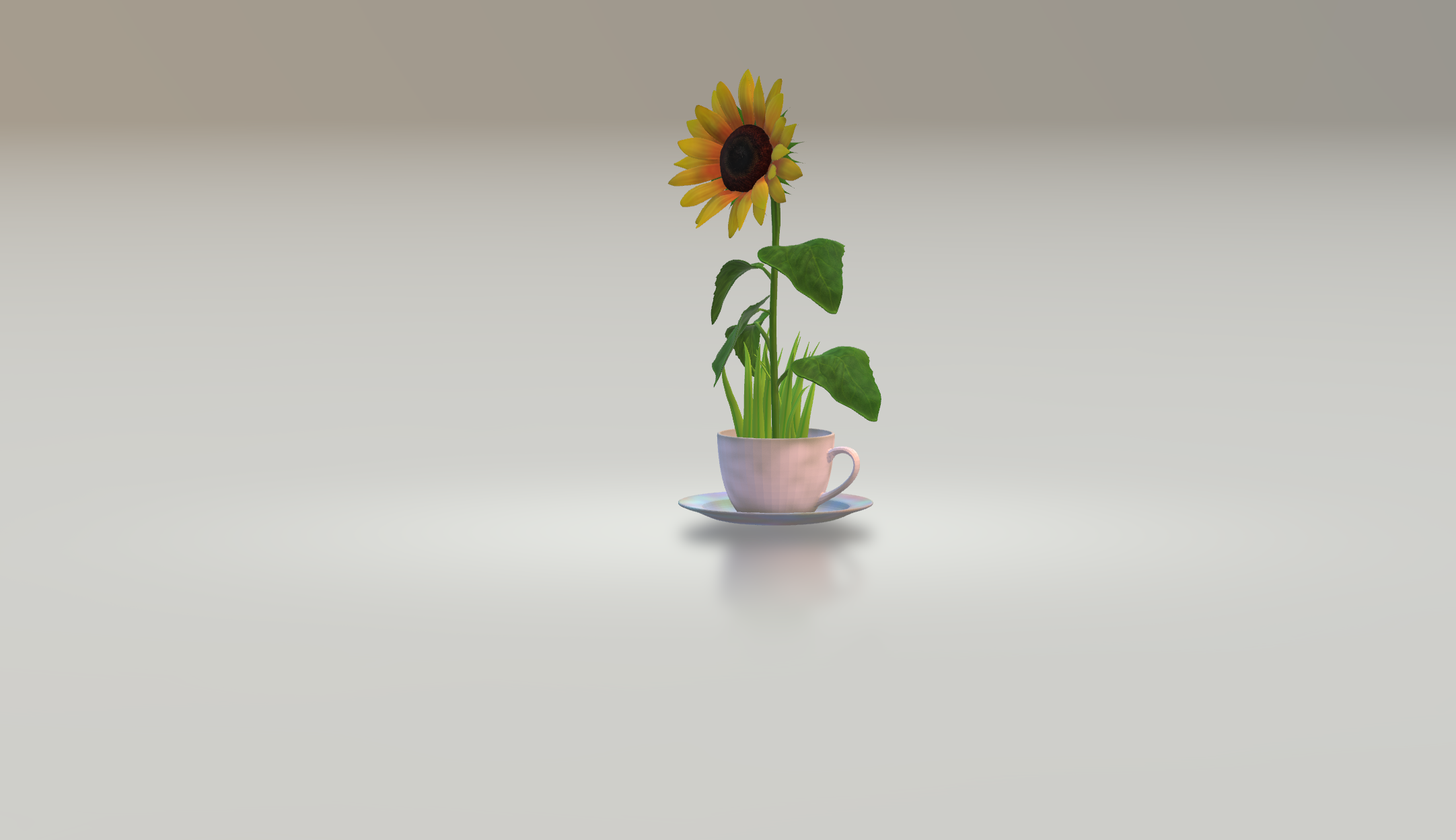 tea PLANT POT