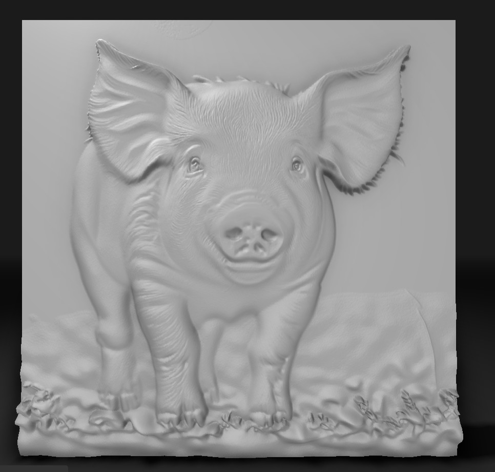 pig