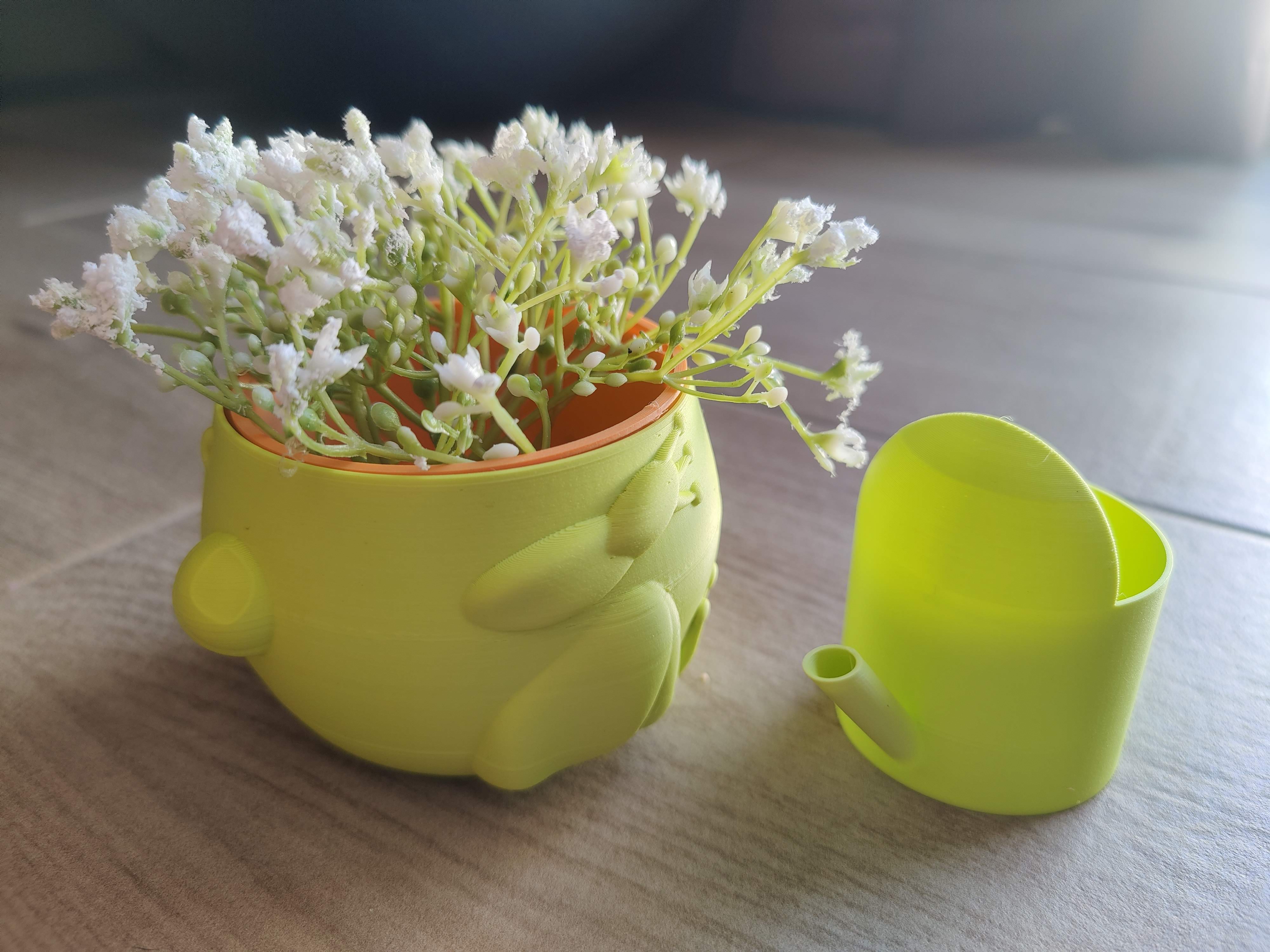Frog Pot (Self-Watering for Plants)