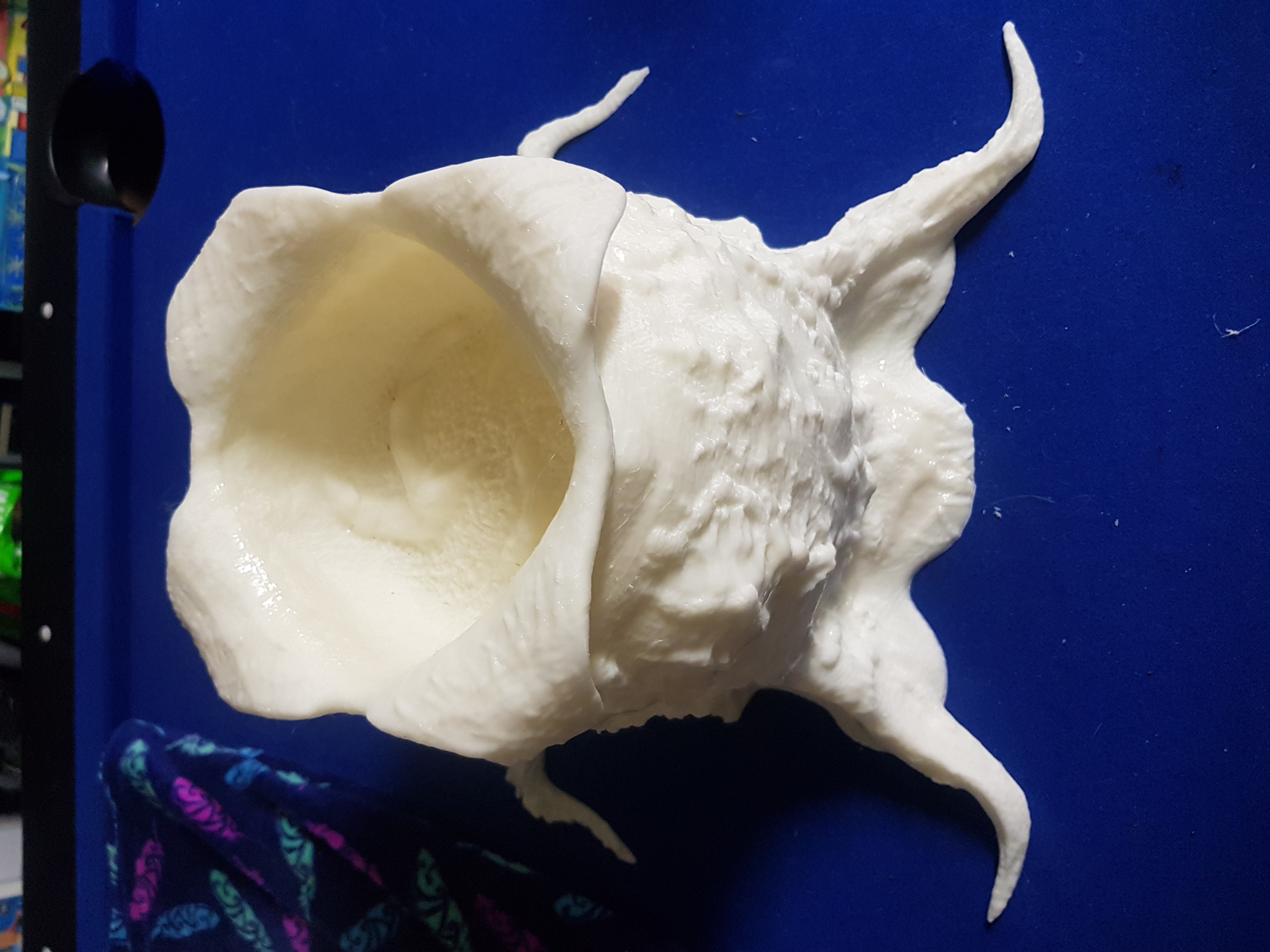 Miniatura 2 do modelo 3D Alien FaceHugger Egg