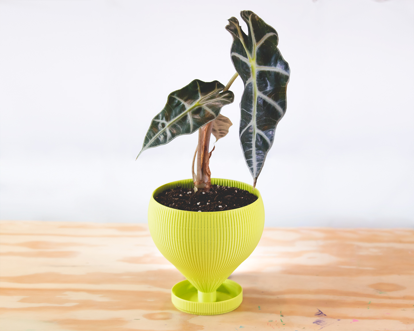 goblet planter (vase mode)