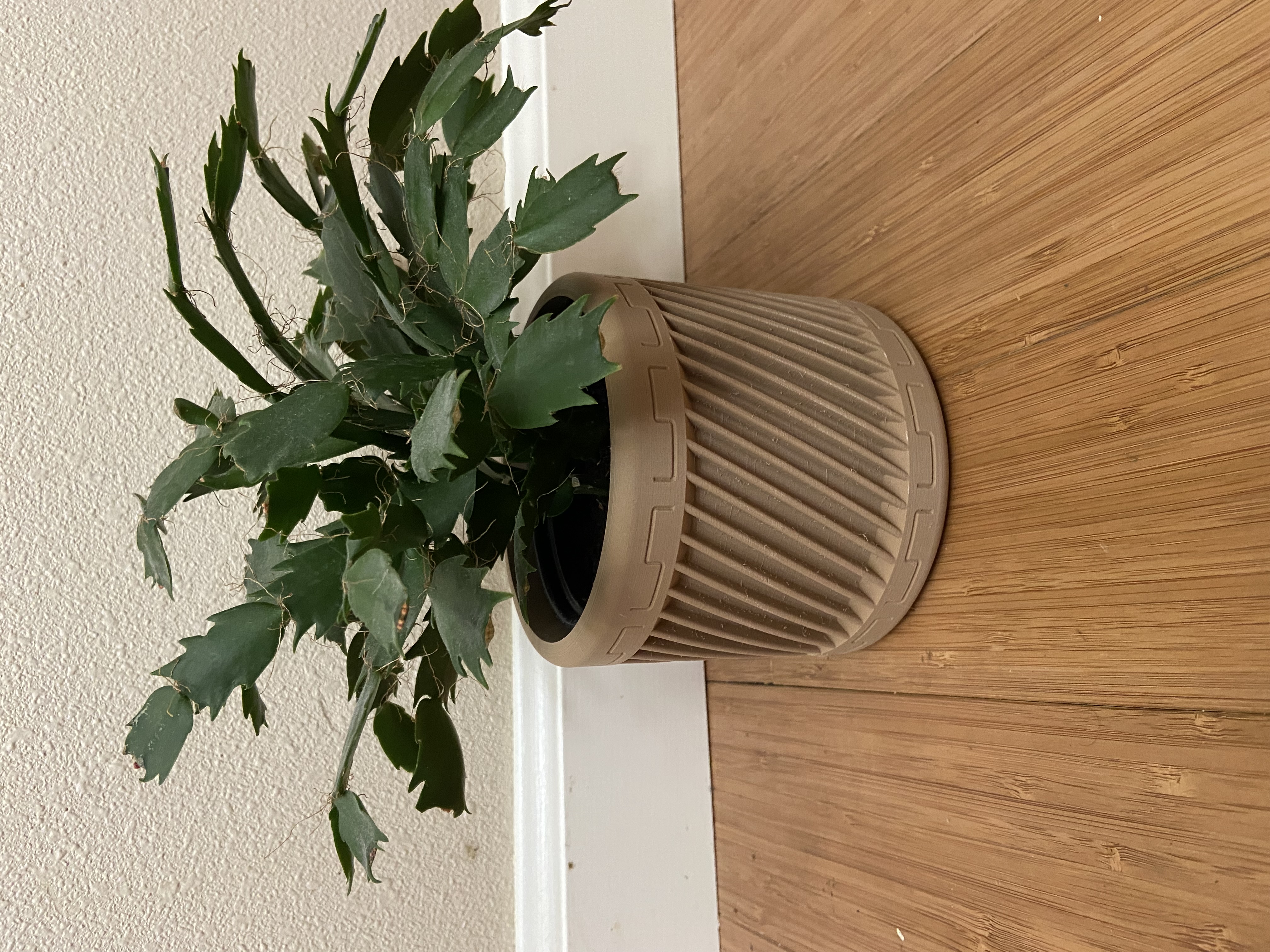 Spiral Plant Pot