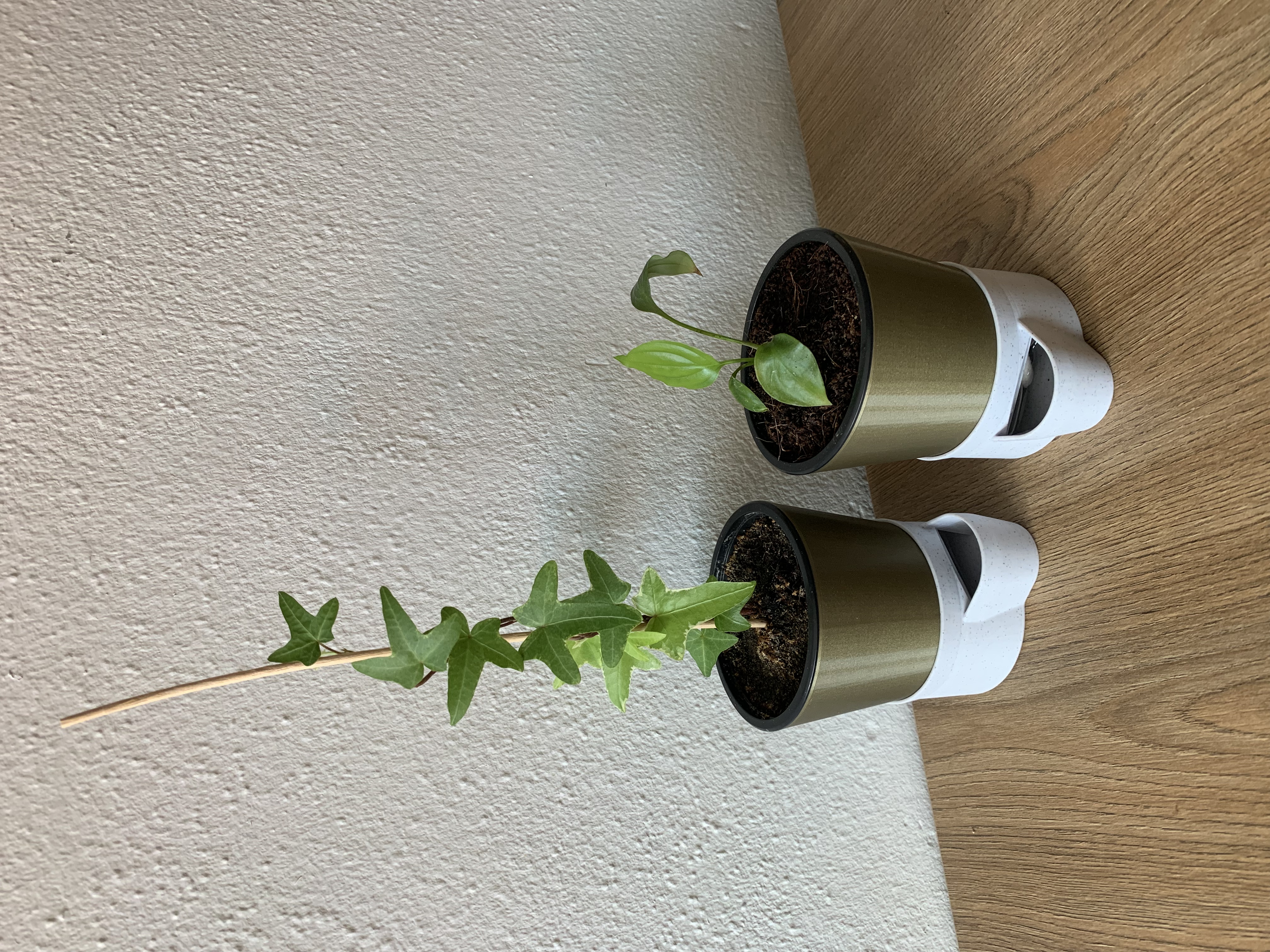 Self Watering Planter