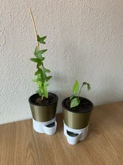 Self Watering Planter
