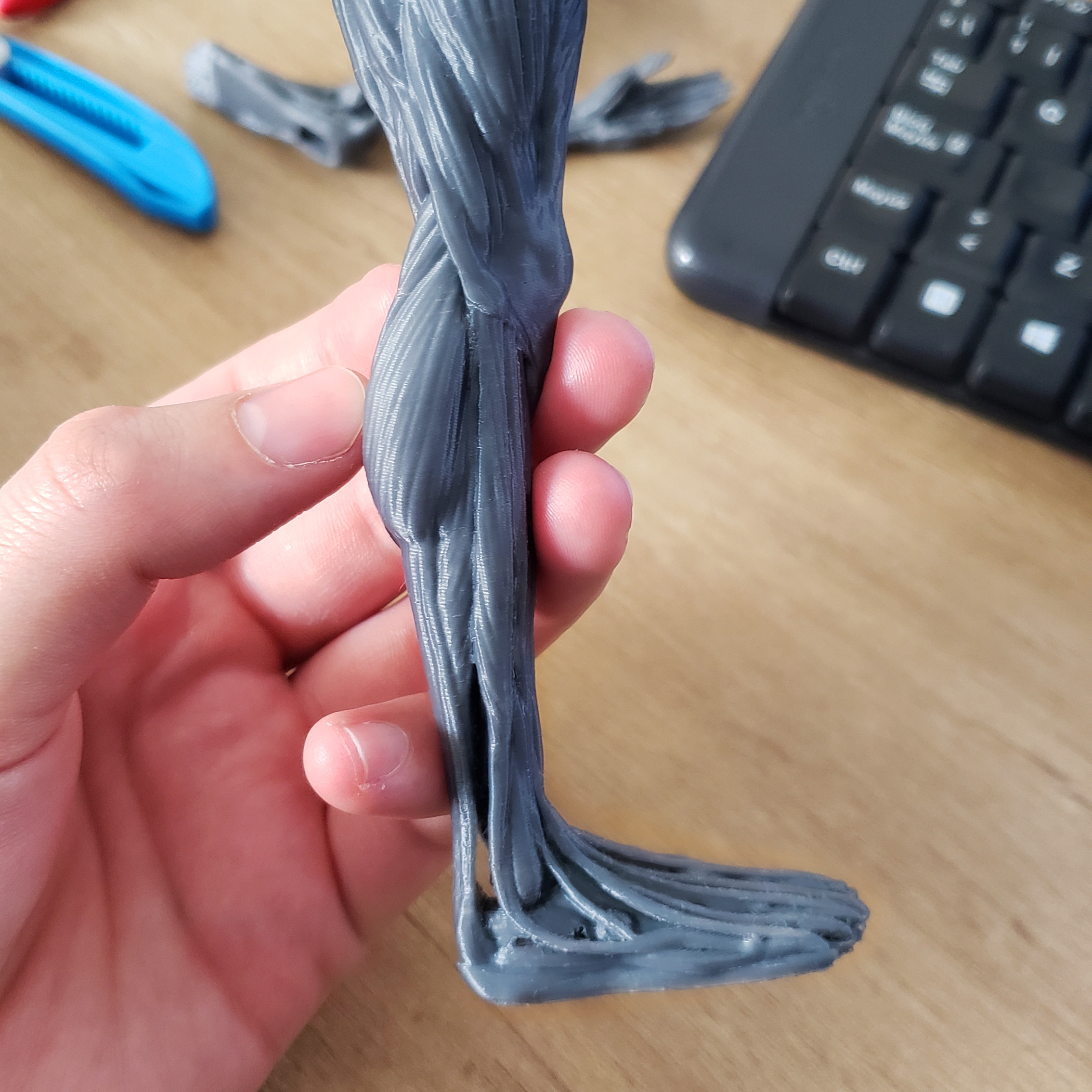 Ecorche - Human Anatomy — miniatura 8