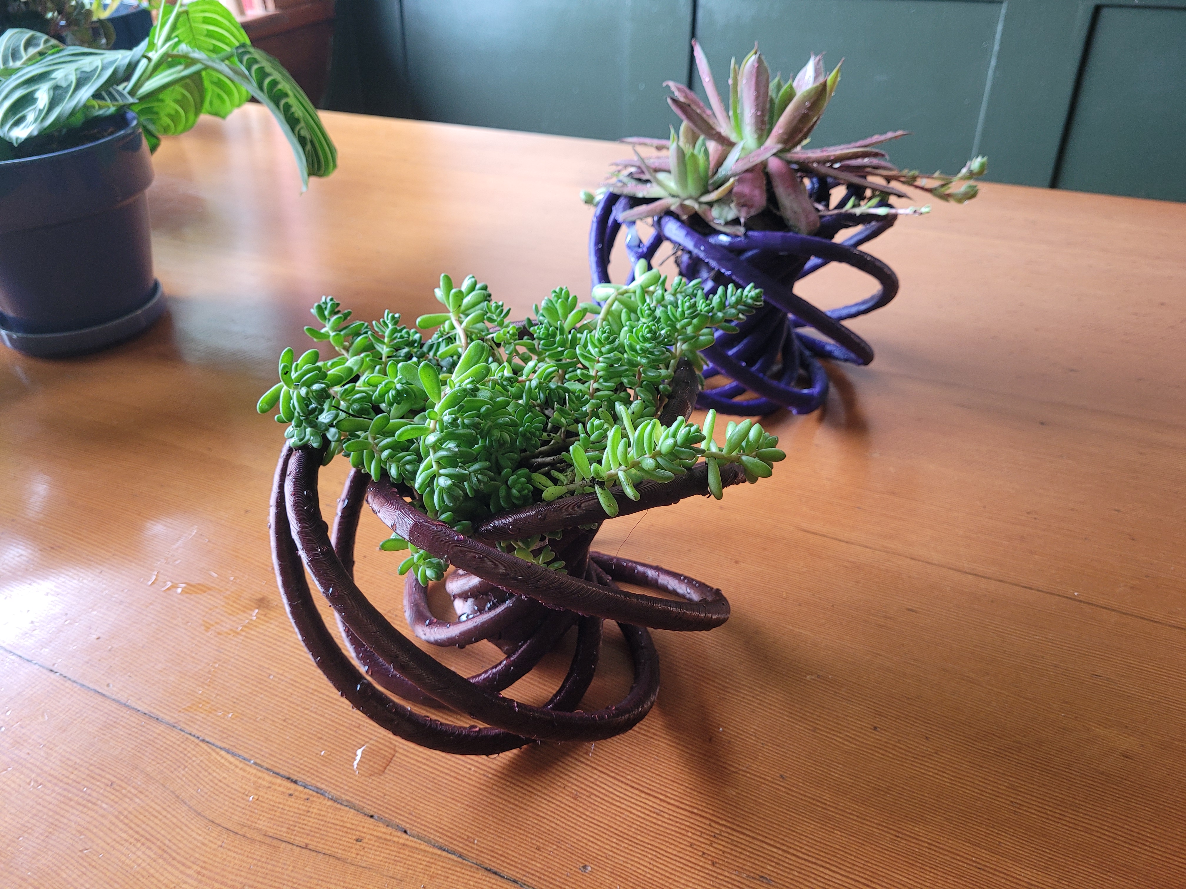 Toroflux Plant Pot