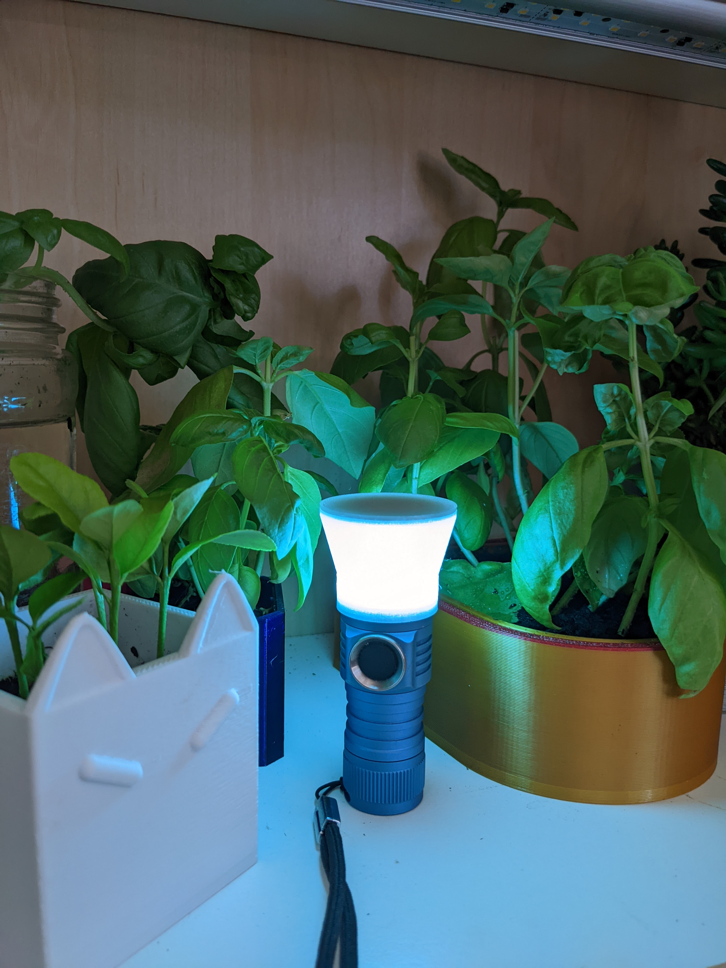 Miniatura 13 do modelo 3D Emisar D4V2 Flashlight Diffuser