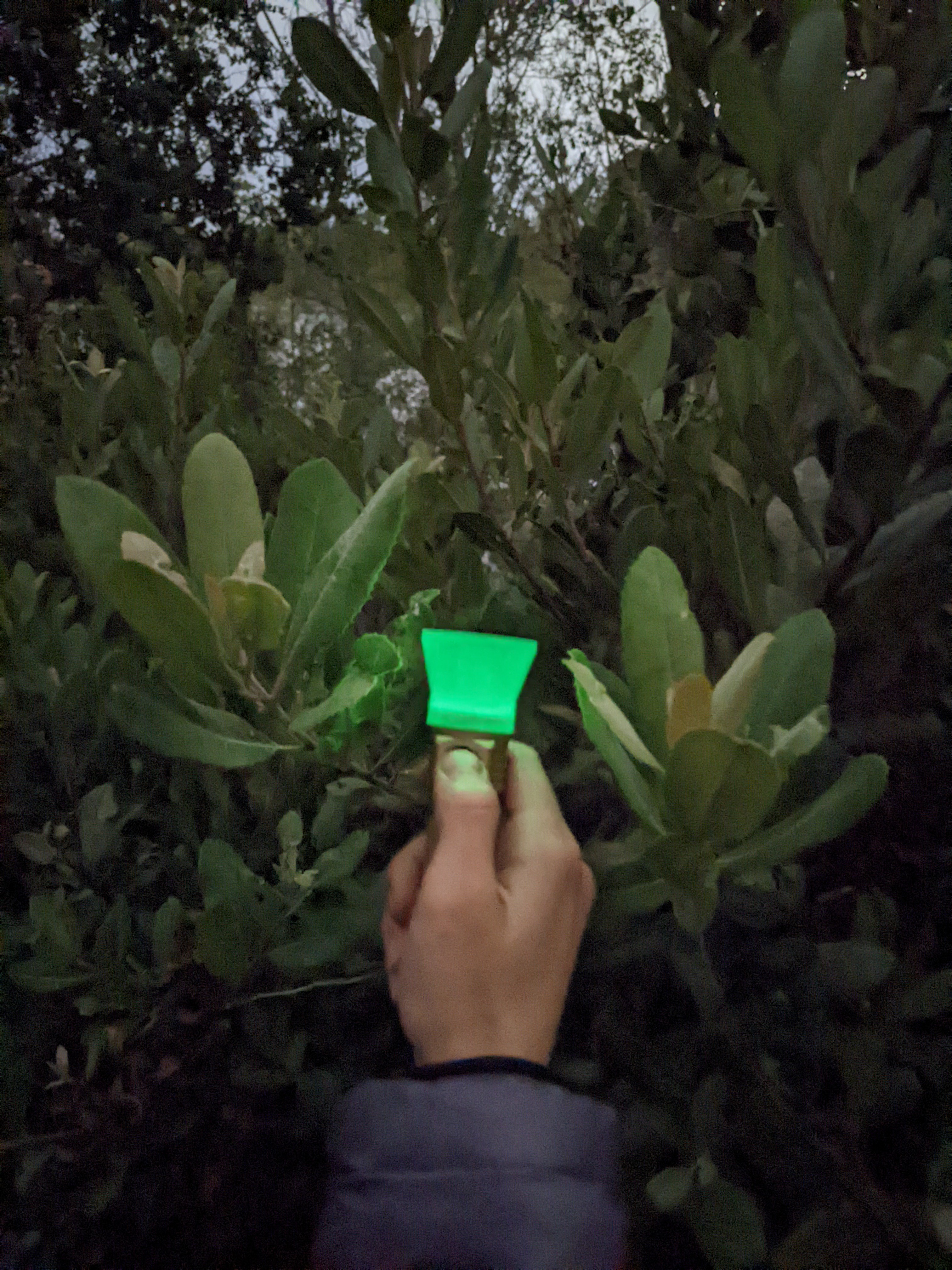 Miniatura 6 do modelo 3D Emisar D4V2 Flashlight Diffuser