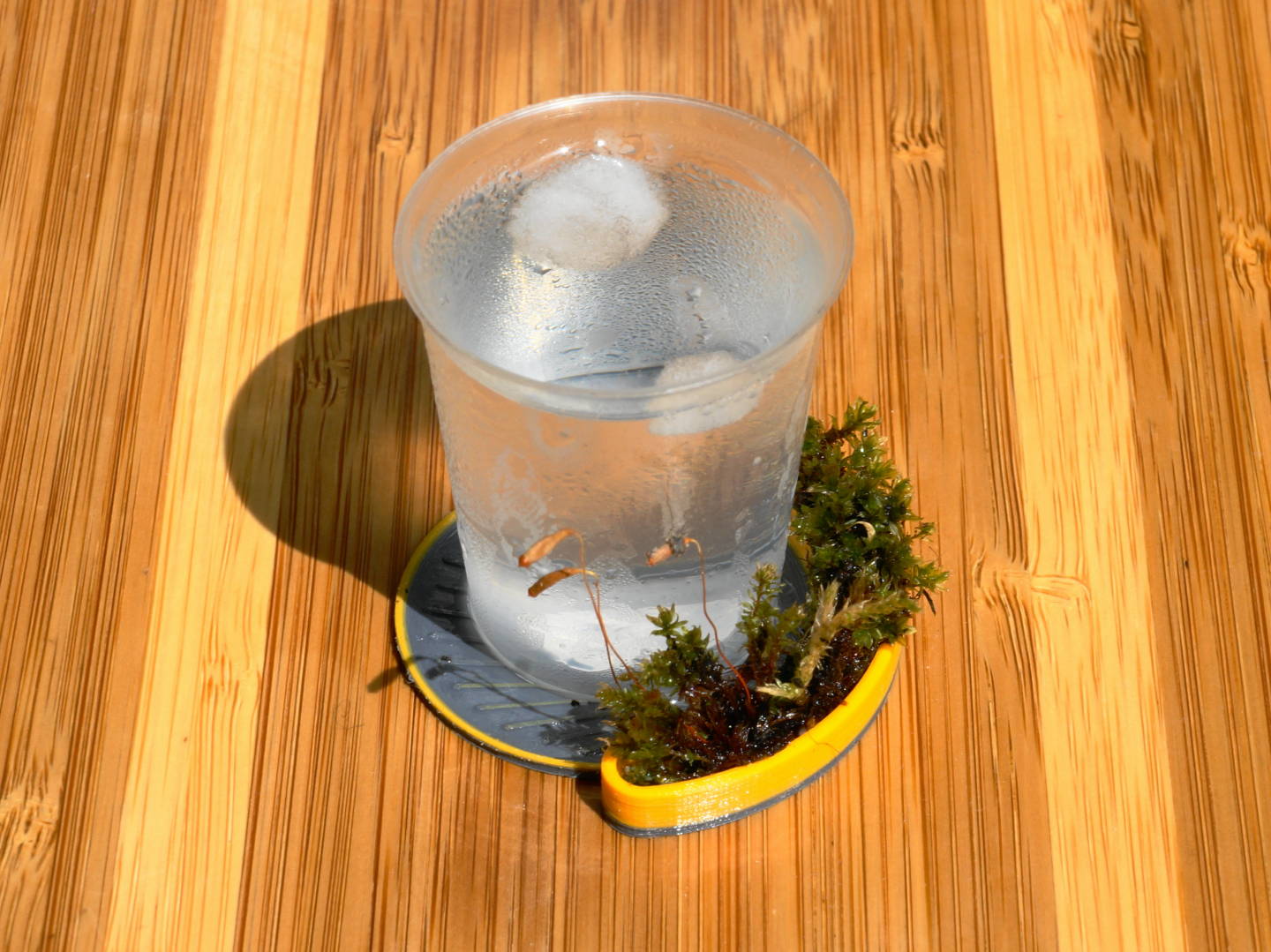 Moss Coaster