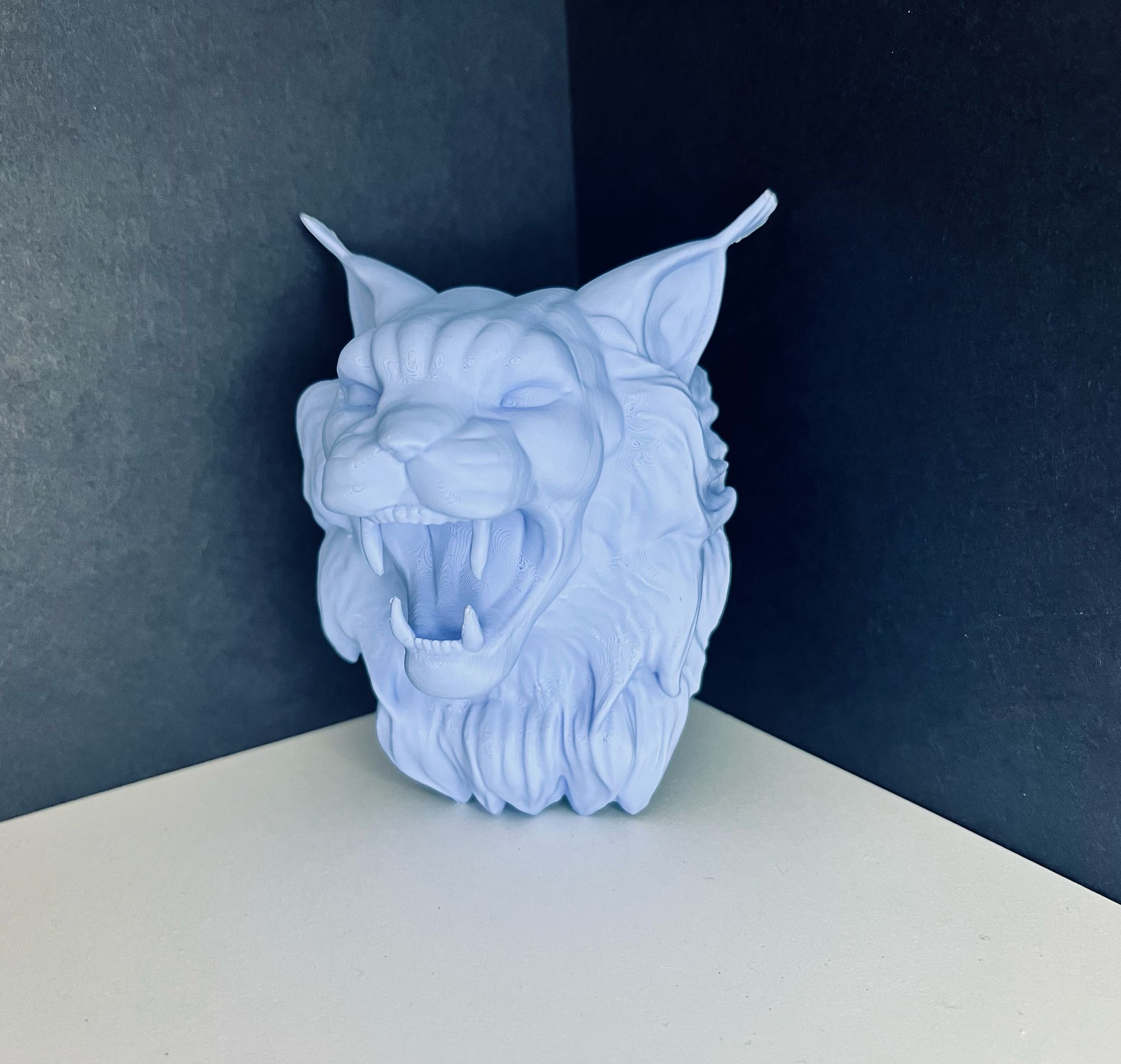 Wall mounted Maine coon cat decoration or Key chain holder — miniatura 4