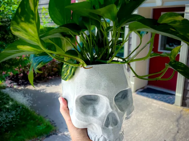 Hanging Skull Planter - NO SUPPORTS!