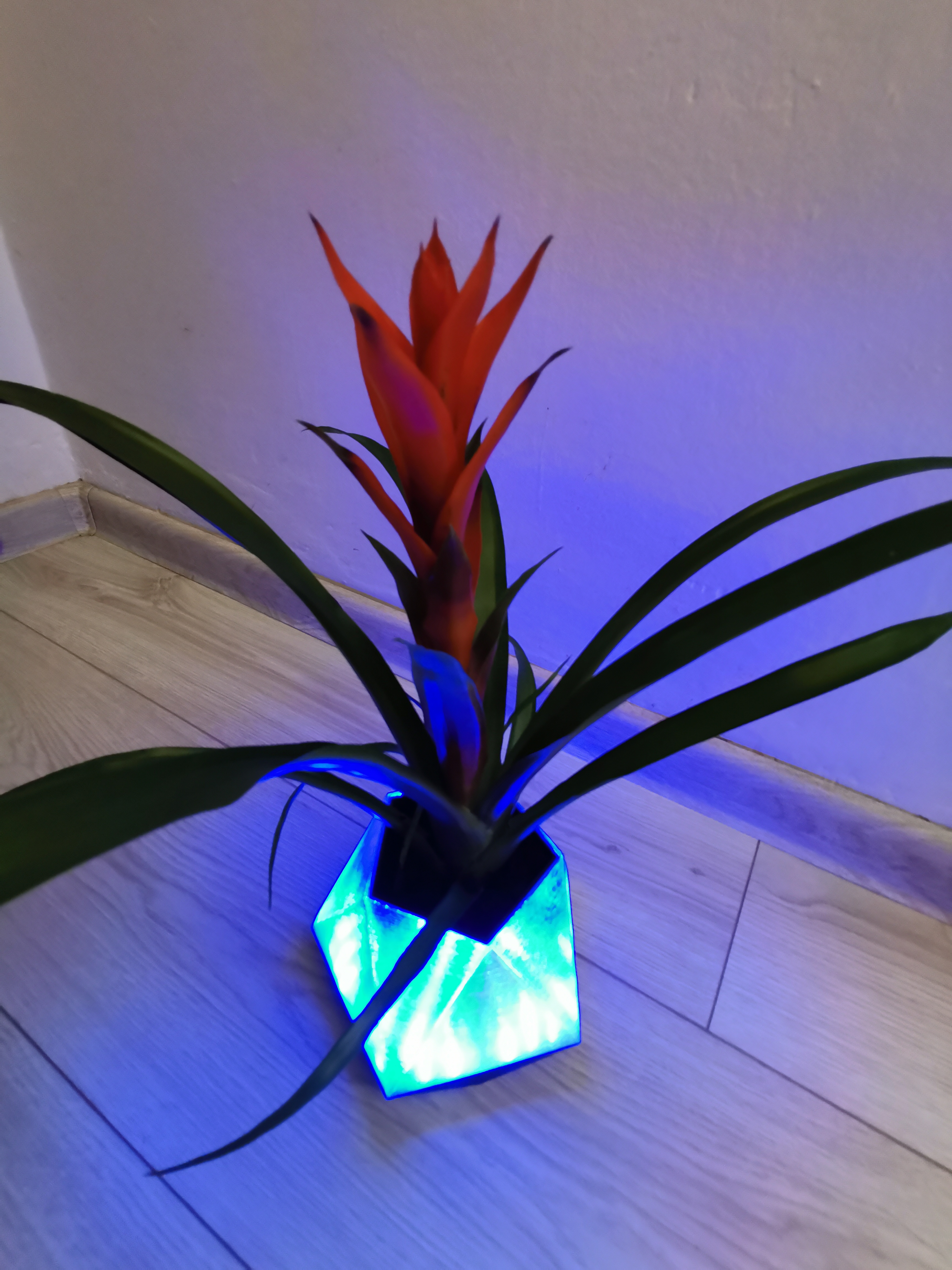 Pentagon LED flower pot