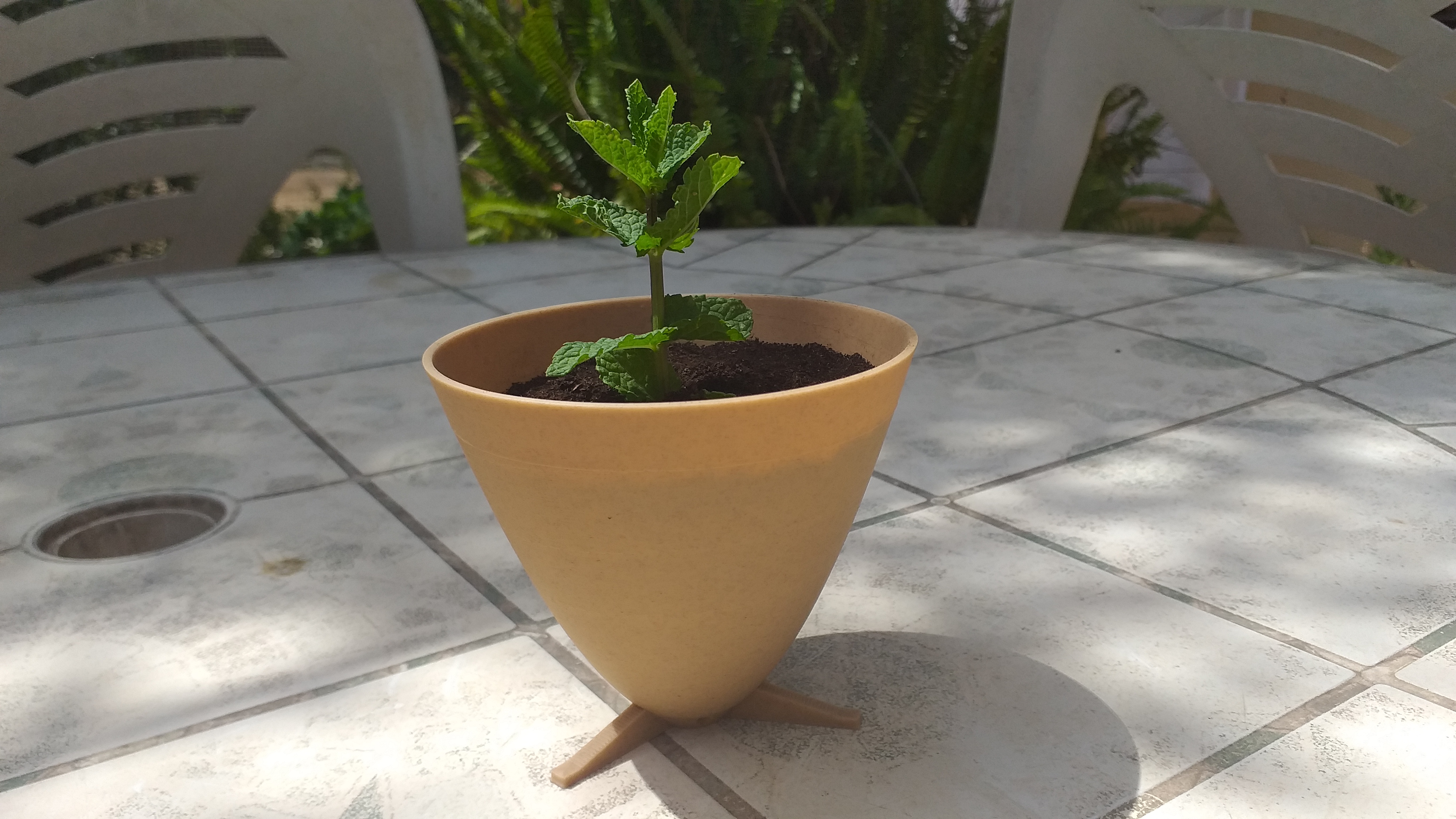 Parabolic plant pot