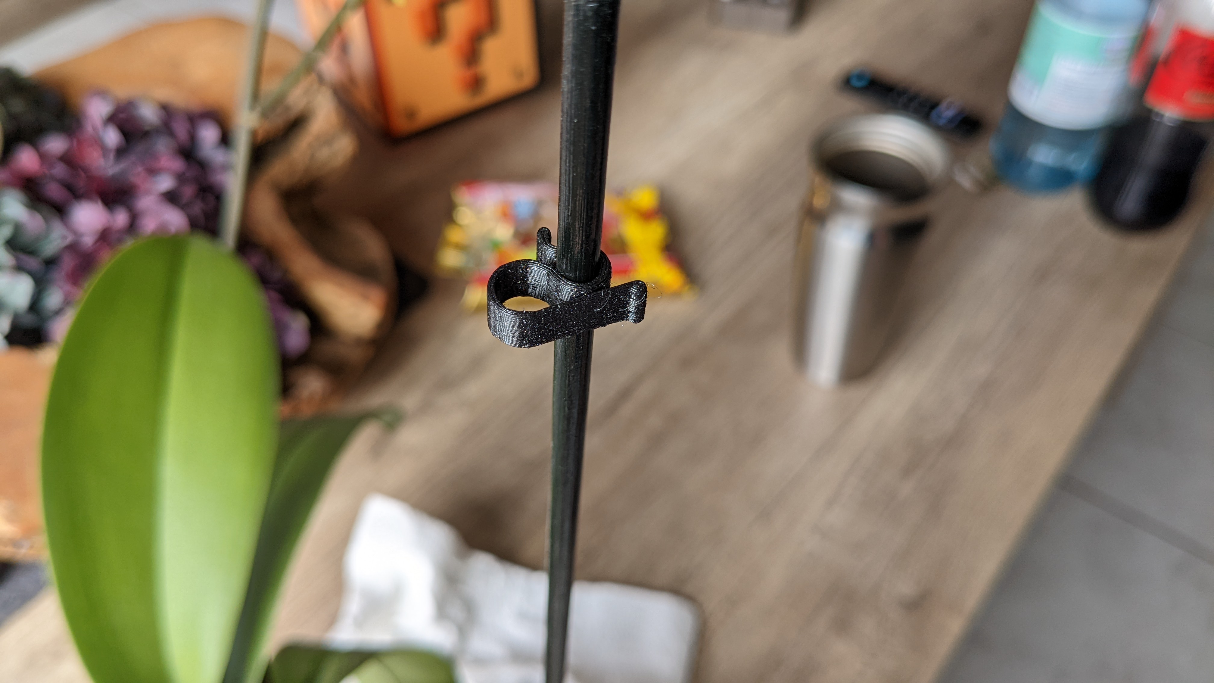 Orchidee Clip