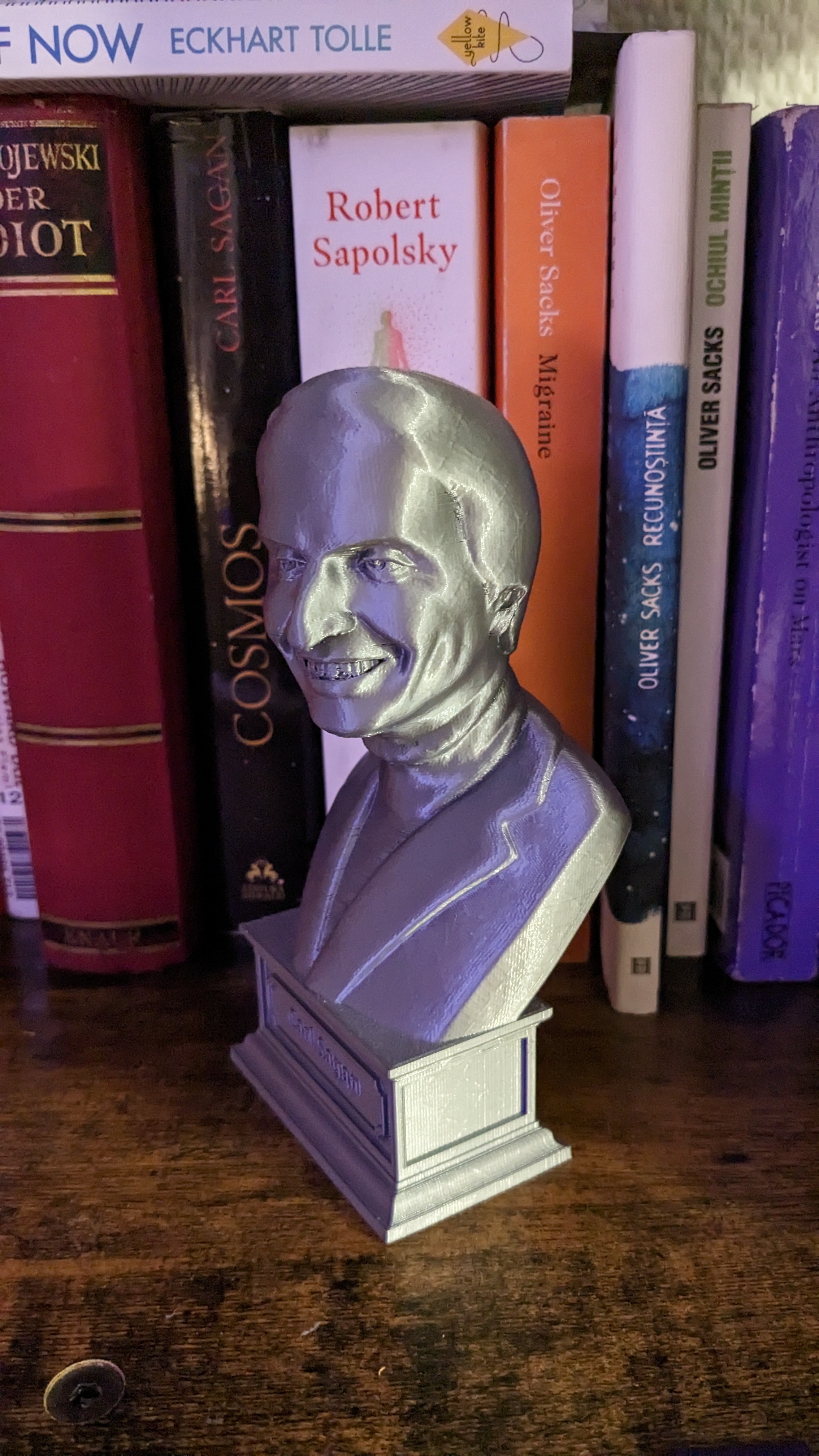 Carl Sagan bust