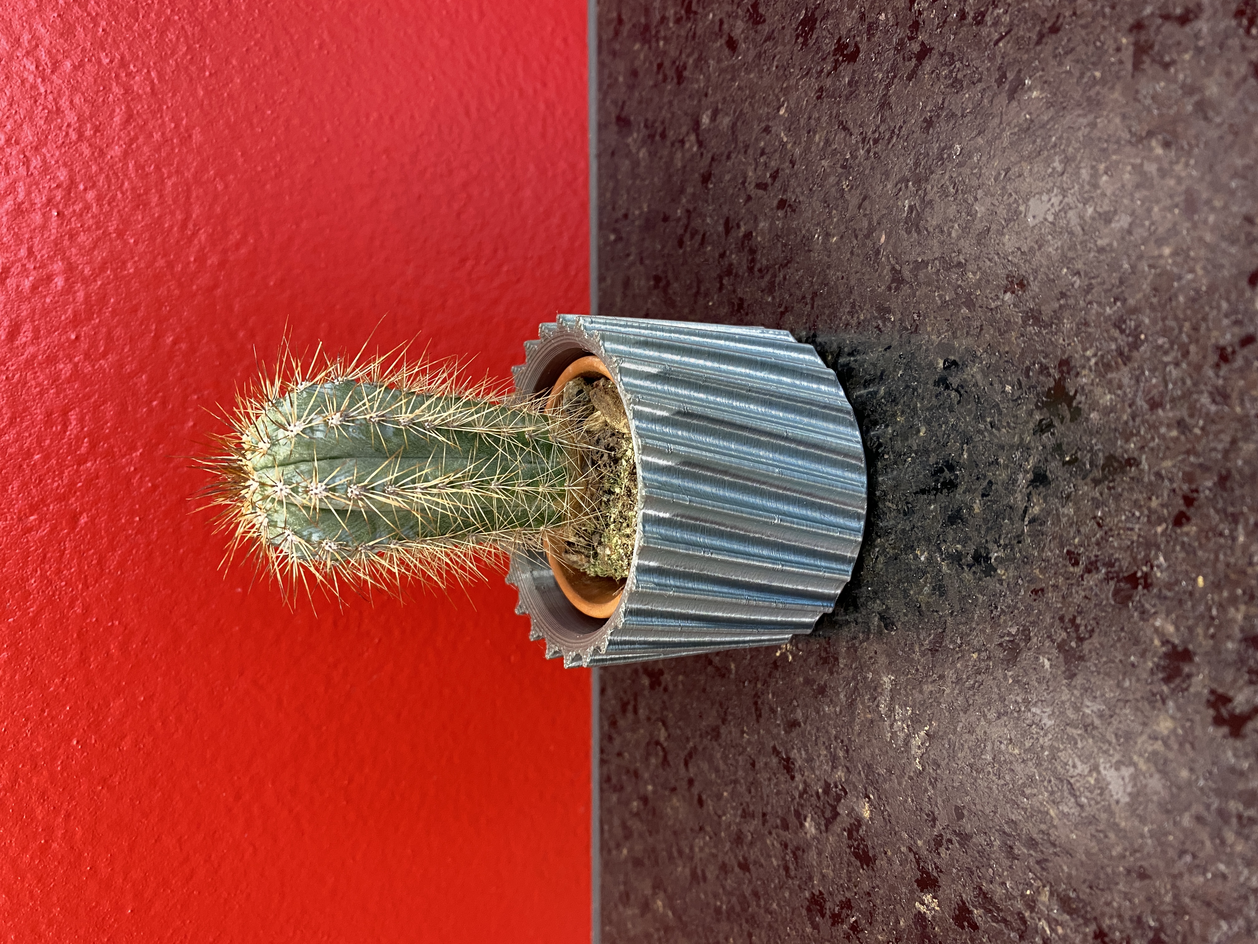 Plant-Pot - Cactus