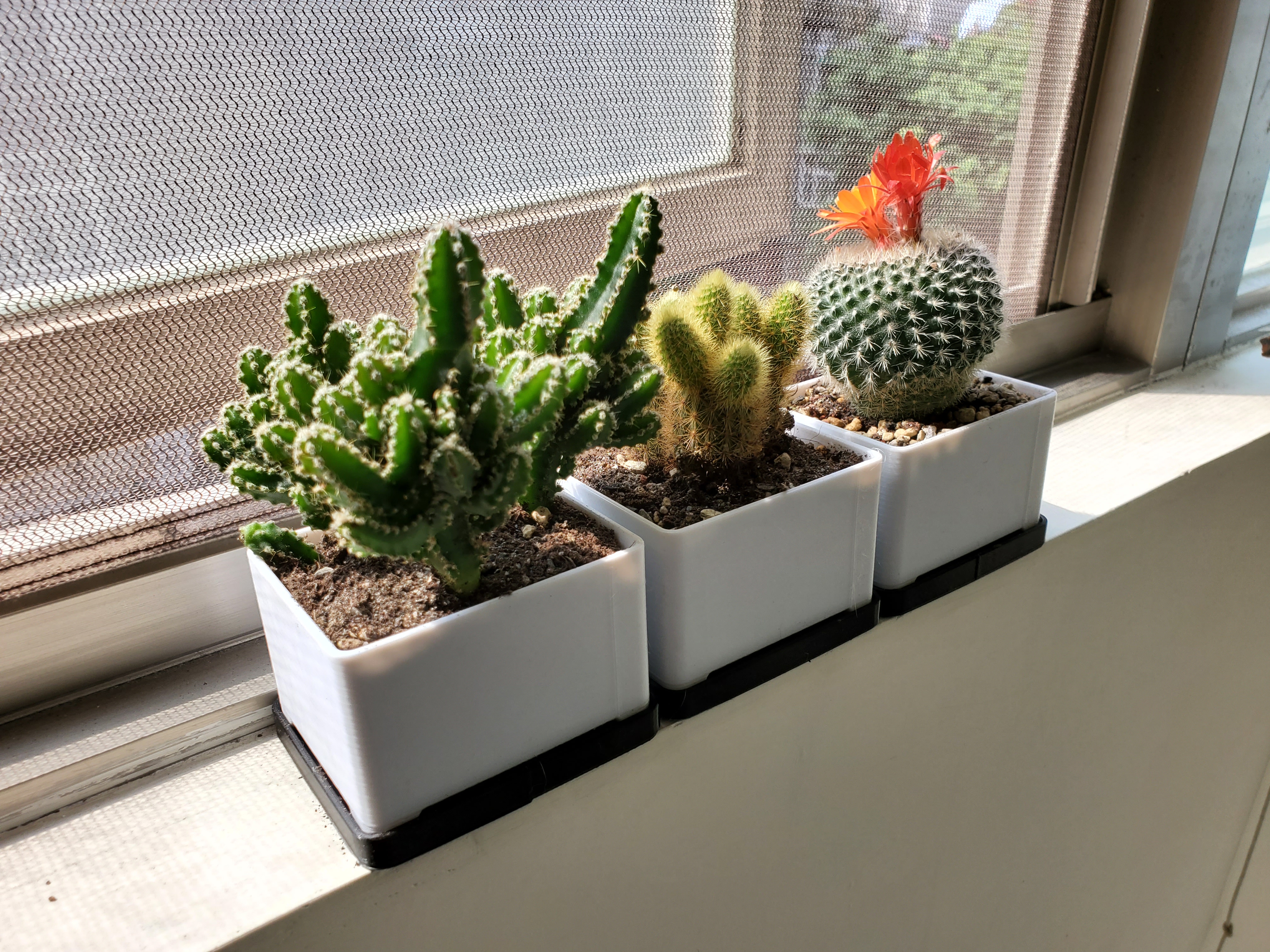 Simplistic Plant Pot with Drip Tray