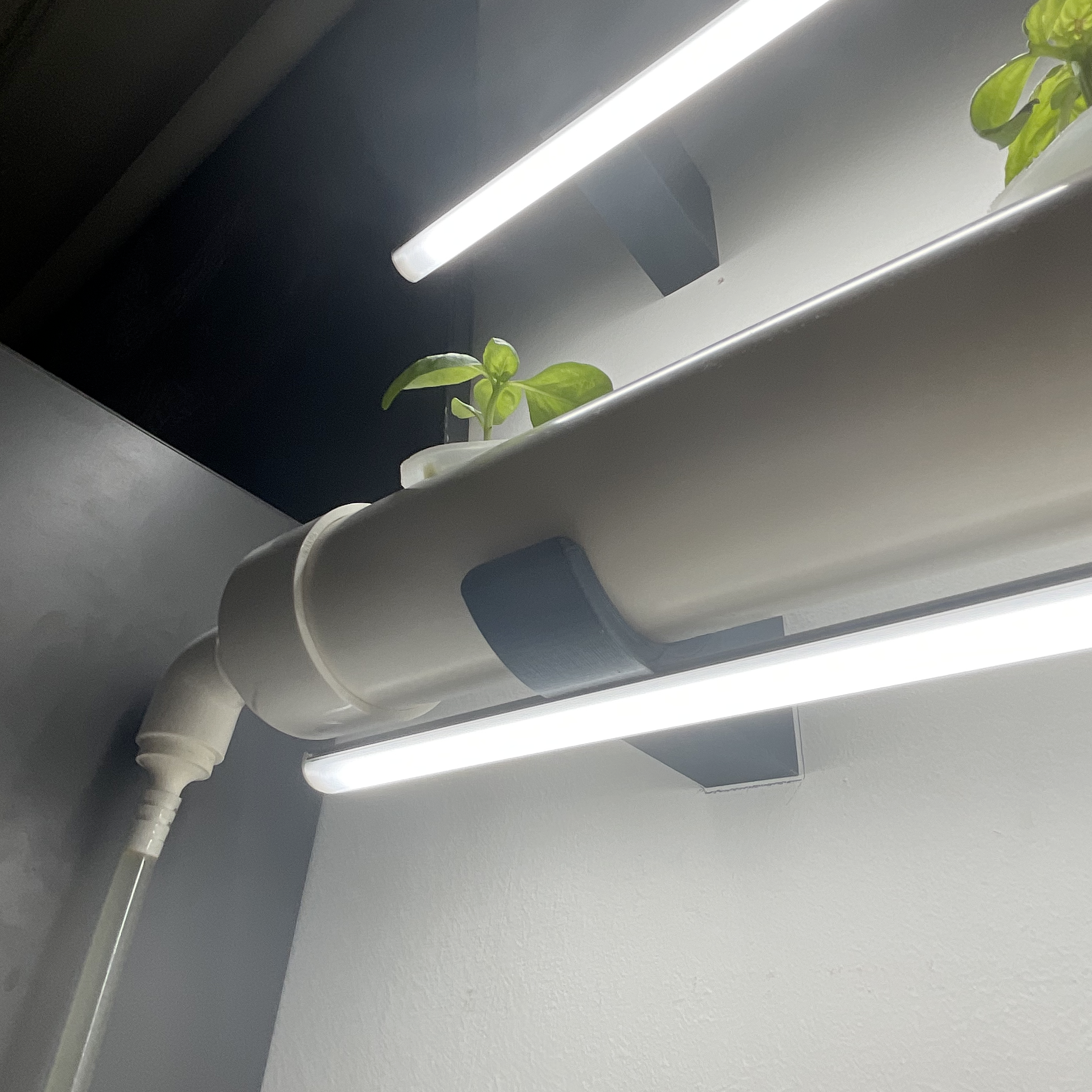 Miniatura 2 do modelo 3D Wall hydroponic system