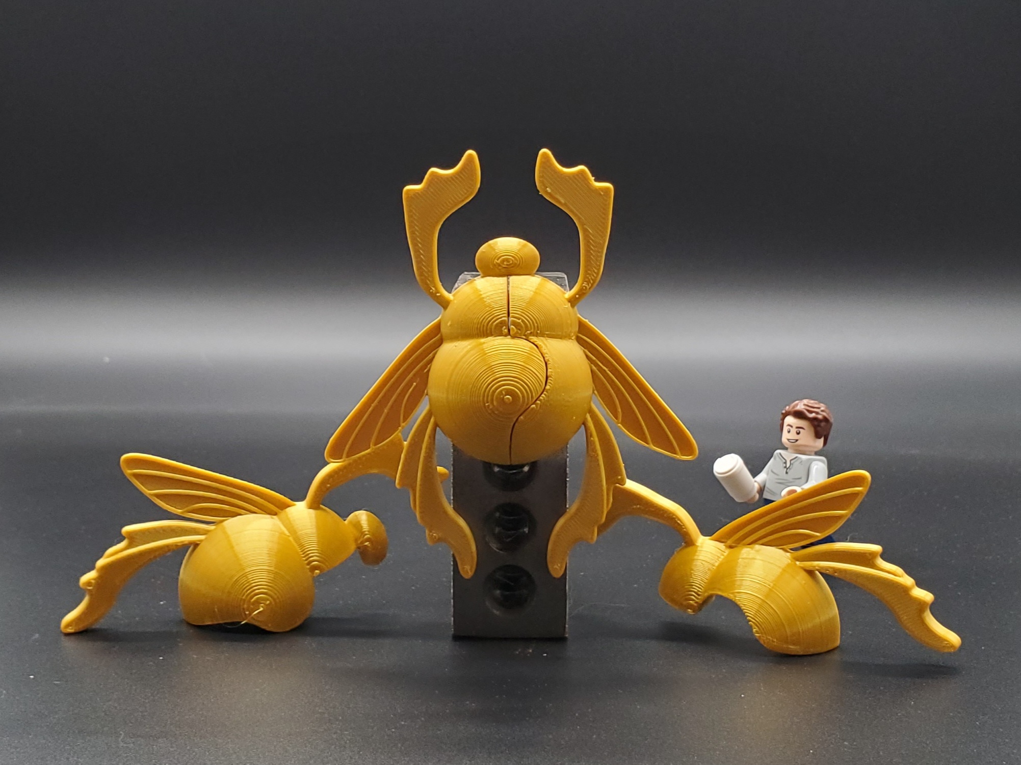 Golden Scarab Beetle